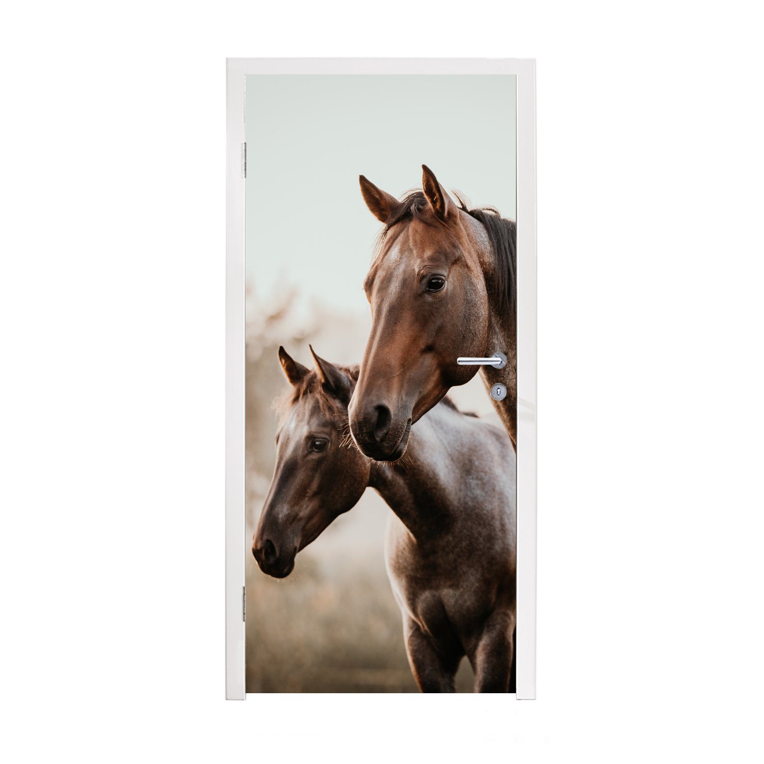 MuchoWow Türtapete Pferde - Natur - Braun, Matt, bedruckt, (1 St), Fototapete für Tür, Türaufkleber, 75x205 cm