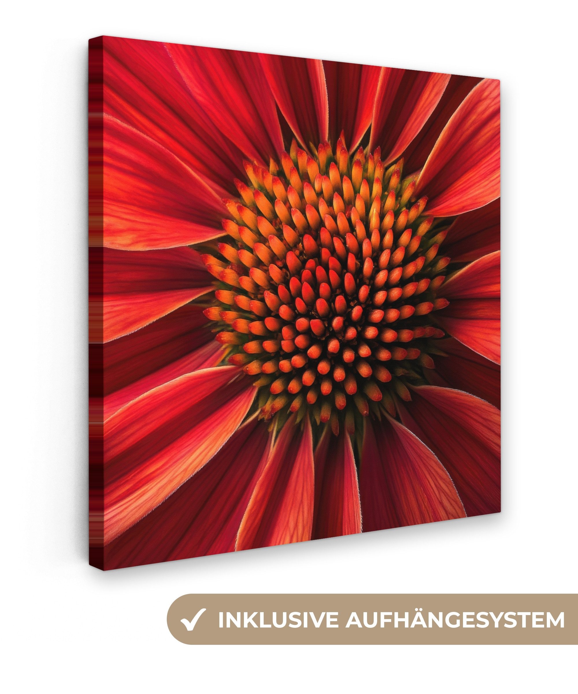 OneMillionCanvasses® Leinwandbild Nahaufnahme - Blume - günstig online kaufen