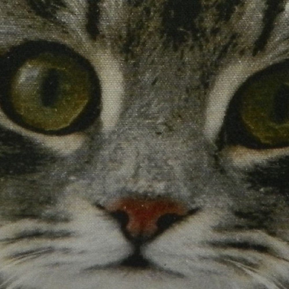 Mars & More Dekokissen Katze Grau Schnee, GKHKKS