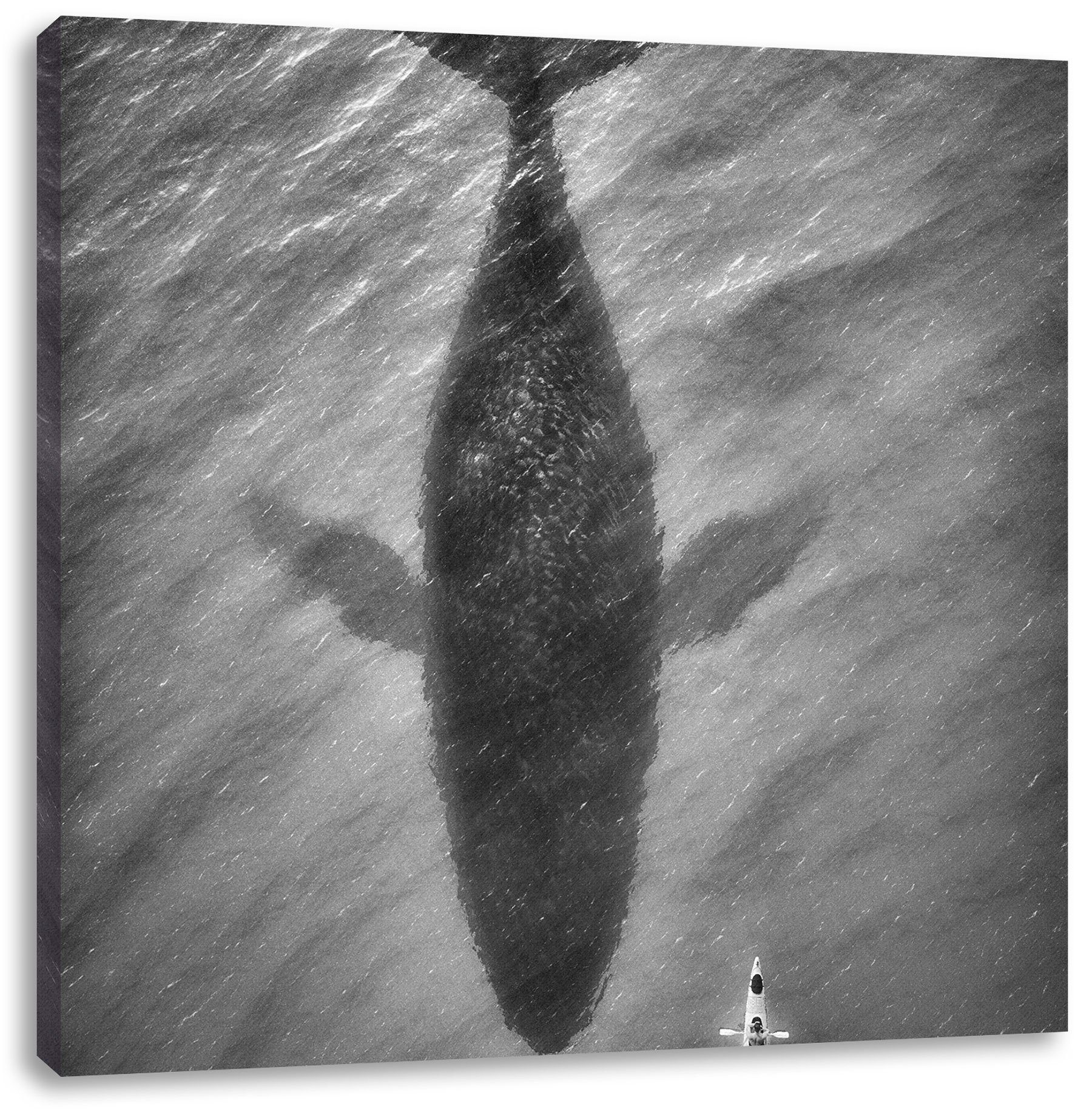 Pixxprint Leinwandbild Riesiger Wal (1 Leinwandbild Schatten, Riesiger bespannt, Zackenaufhänger inkl. St), Wal Schatten fertig