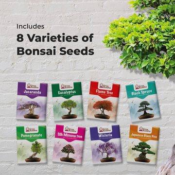 Kunstbonsai Samen-Set mit 8 verschiedenen Bonsai-Bäumchen, Grow Buddha