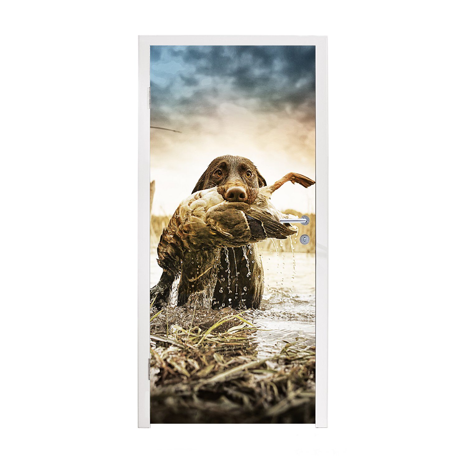 MuchoWow Türtapete Ein Hund vollendet seine Jagd mit einer Ente im Maul, Matt, bedruckt, (1 St), Selbstklebende Tapete, Folie für Möbel, 75x205 cm