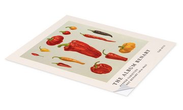 Posterlounge Wandfolie Ernst Benary, The Album Benary - Pepper Varieties, Küche Vintage Illustration
