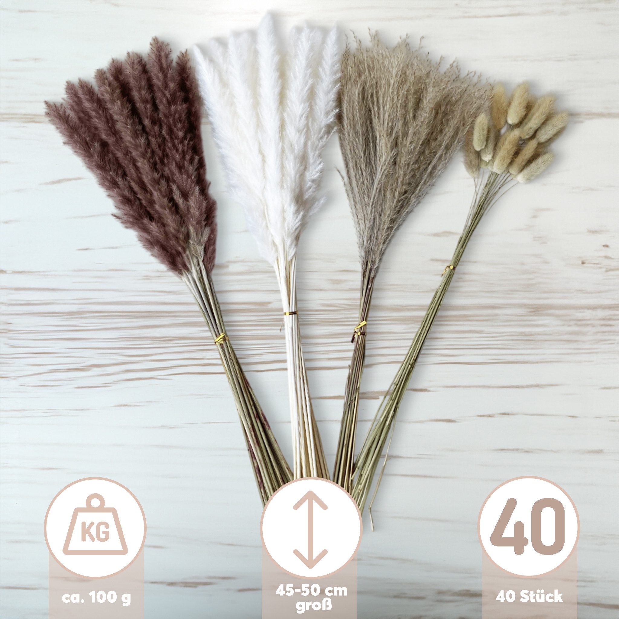Kunstblume Getrocknetes Schilfrohr im 40er Set, günstig online kaufen