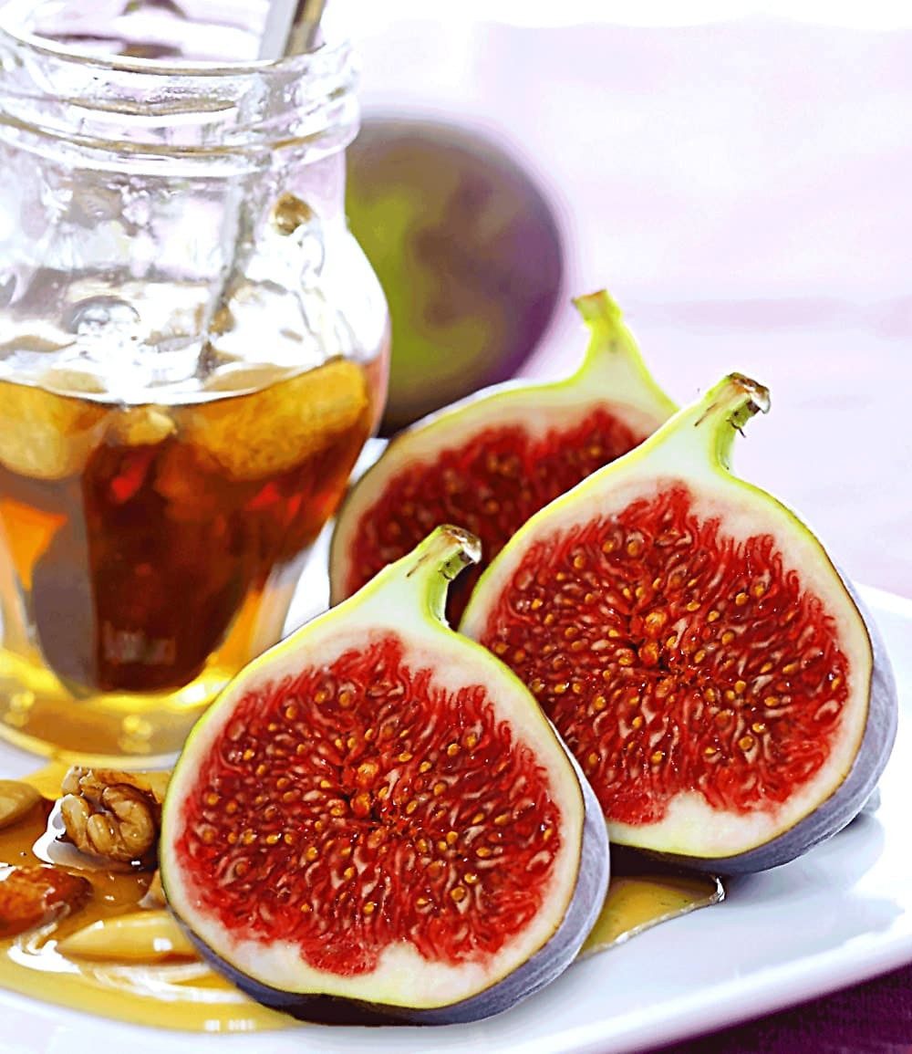 BALDUR Garten Feigenbaum Frucht-Feige 'Rouge de Bordeaux' klein, 1 St., Selbstbefruchtend, winterhart, mehrjährig, pflegeleicht