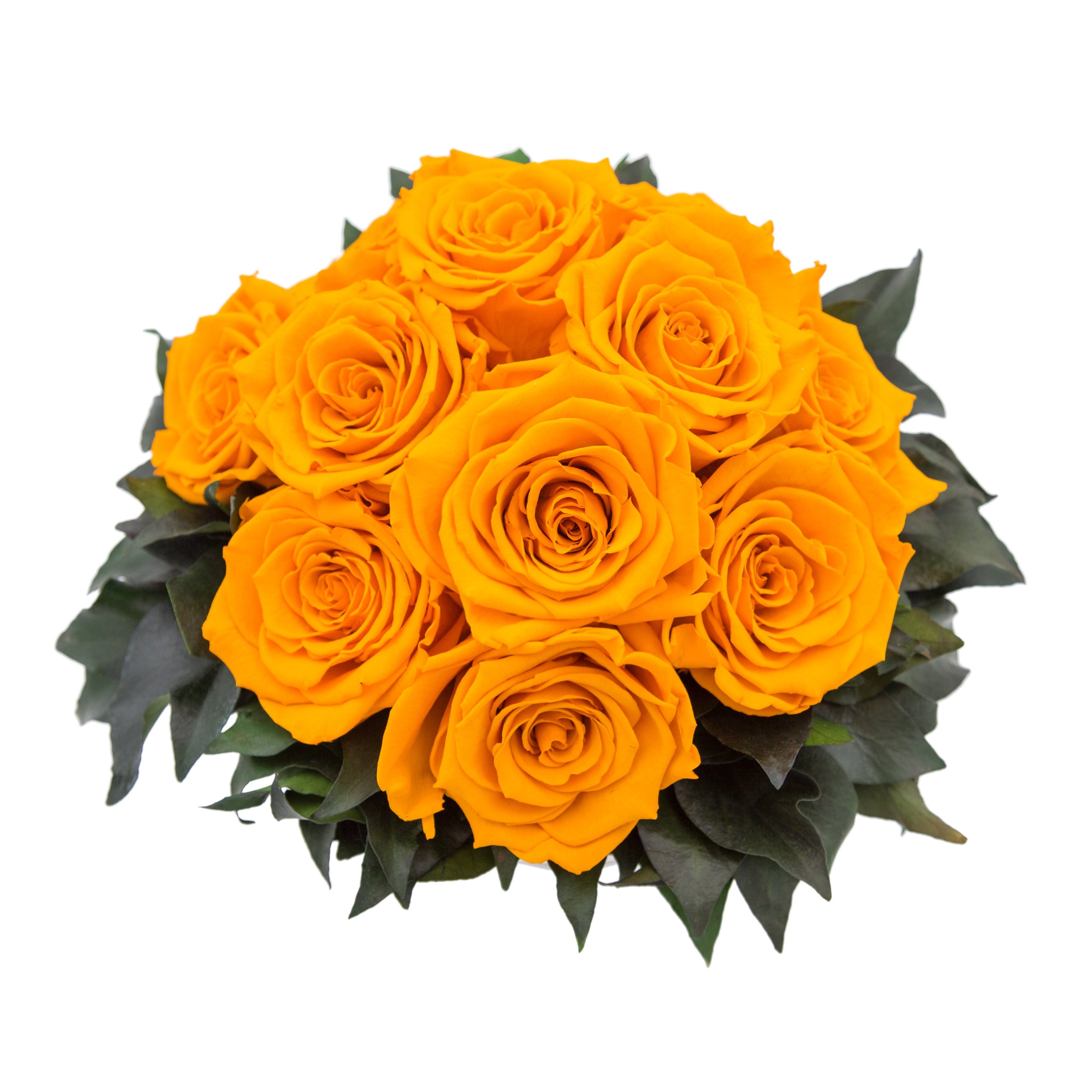 Gestecke Blumengesteck 11 Infinity Rosen in Blumenschale Blumenstrauß Rosenbox Rose, ROSEMARIE SCHULZ Heidelberg, Höhe 18 cm, Echte Blumen 3 Jahre haltbar, Geschenk für Frauen, Made in Germany