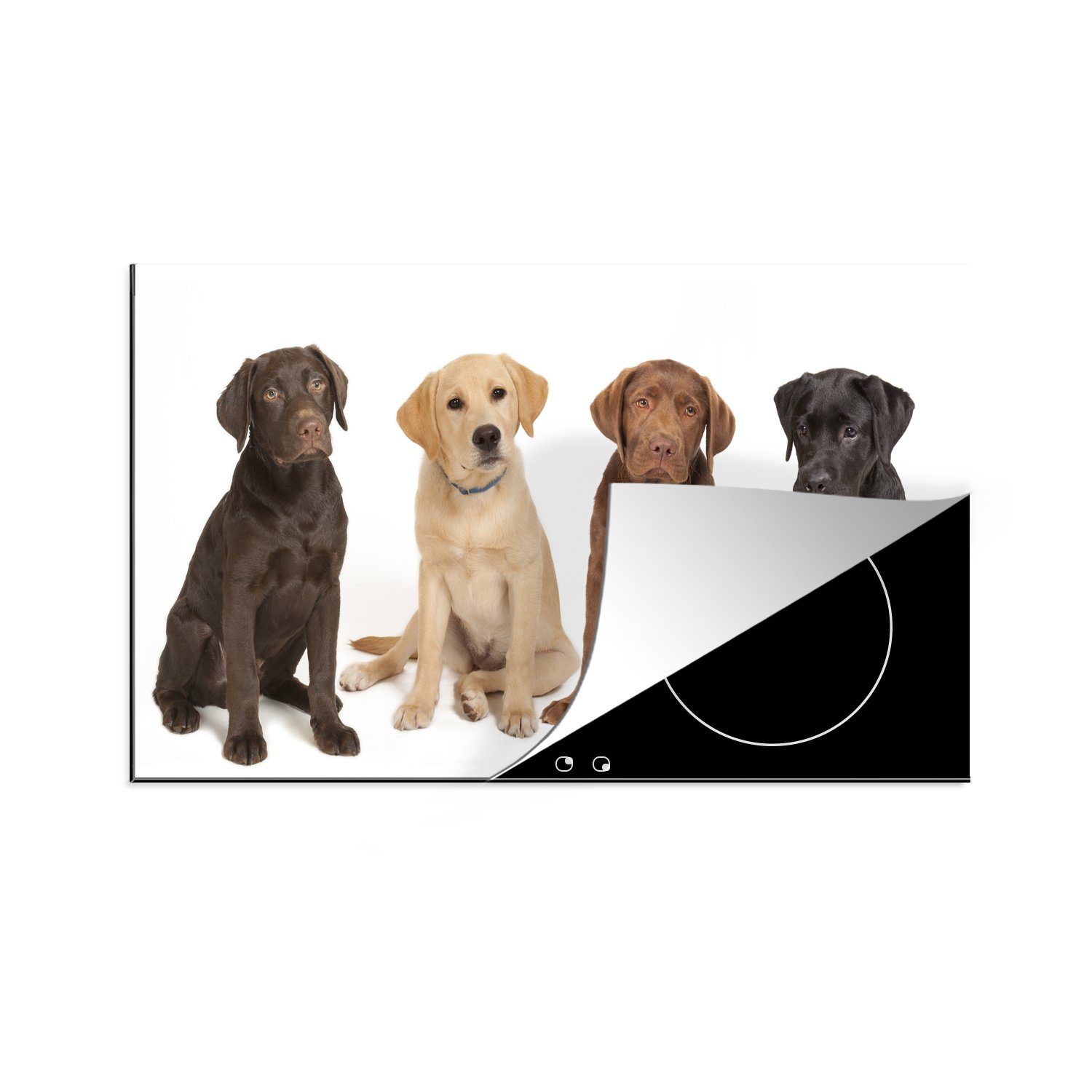 MuchoWow Herdblende-/Abdeckplatte 4 verschiedenfarbige Labrador Retriever Welpen, Vinyl, (1 tlg), 83x51 cm, Ceranfeldabdeckung, Arbeitsplatte für küche