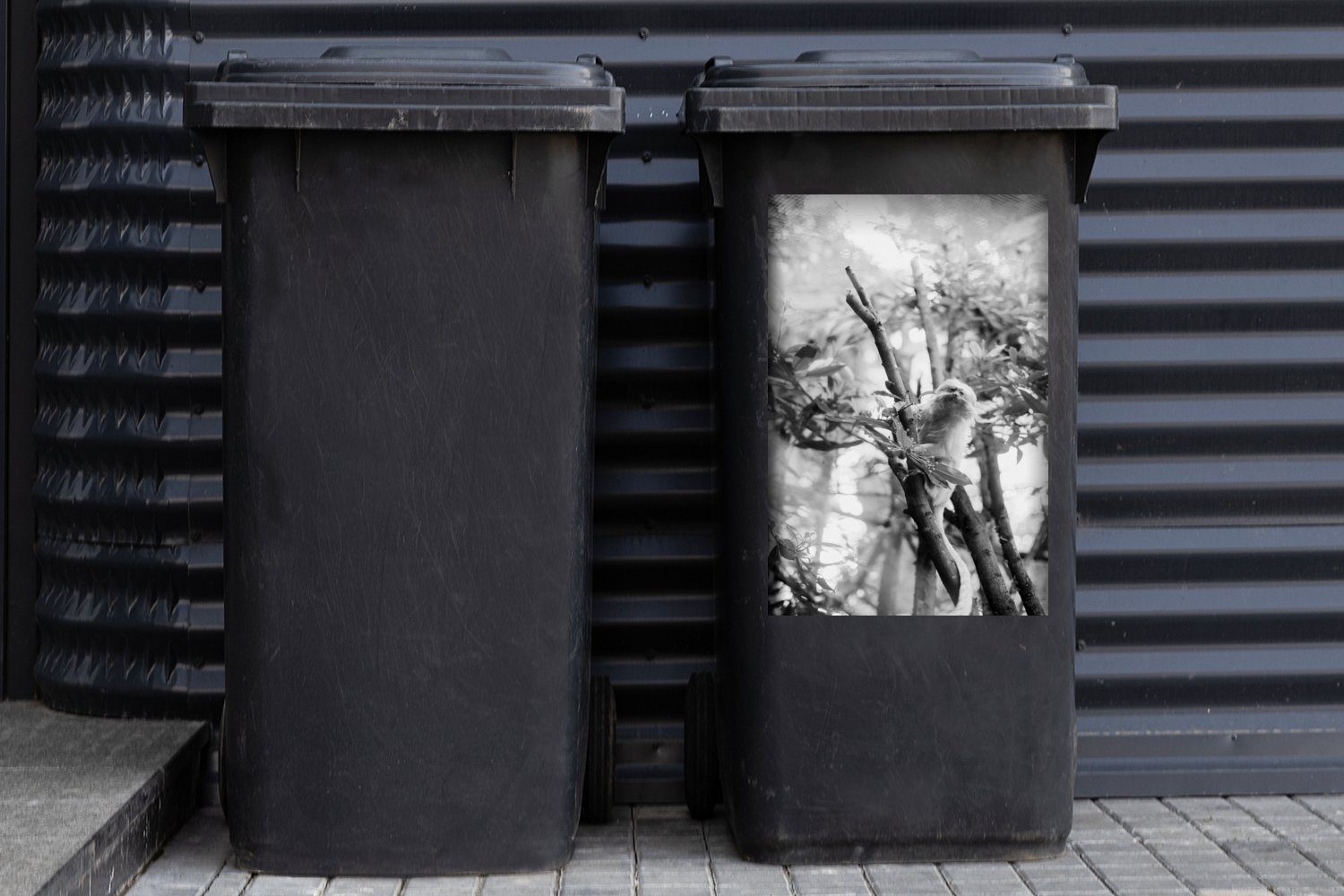 MuchoWow Wandsticker Kleines Seidenäffchen im und weiß Mülleimer-aufkleber, schwarz Baum St), Abfalbehälter Sticker, (1 - Mülltonne, Container