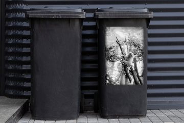 MuchoWow Wandsticker Kleines Seidenäffchen im Baum - schwarz und weiß (1 St), Mülleimer-aufkleber, Mülltonne, Sticker, Container, Abfalbehälter