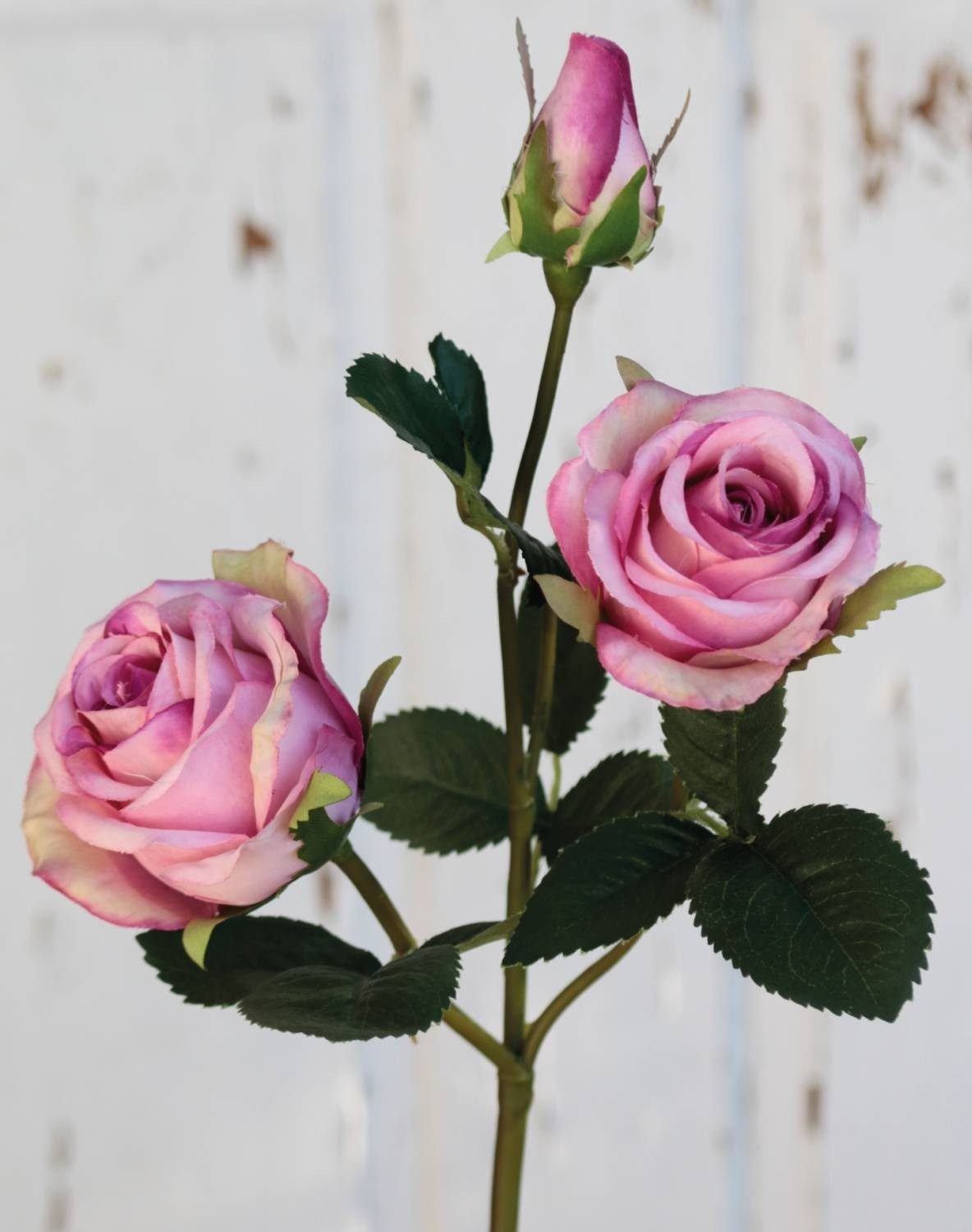 Kunstzweig Textil Rose Delilah, rosa, 55cm, Ø6cm Rose, artplants, Höhe 55.0 cm