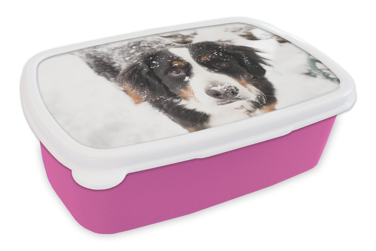 Kunststoff, Kinder, verschneiten rosa Sennenhund Brotdose Landschaft, Berner in einer Brotbox für Mädchen, (2-tlg), Snackbox, Erwachsene, Kunststoff MuchoWow Lunchbox