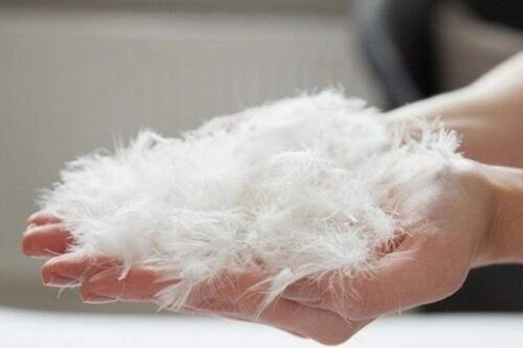 Welt der Träume Daunenbettdecke Daunendecke Steppdecke Winterdecke Bettdecke Zudecke 155x200, Füllung: 60% Daunen/ 40% Federn, Bezug: 100% Baumwolle, Bettdecke, Steppdecke, Schlafdecke, Daunendecke, Daunenbett