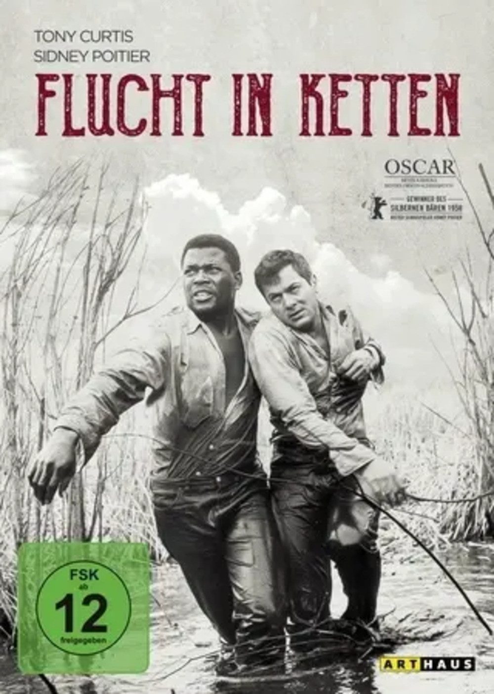 DVD Flucht in Ketten, 1 DVD (Digital Remastered)