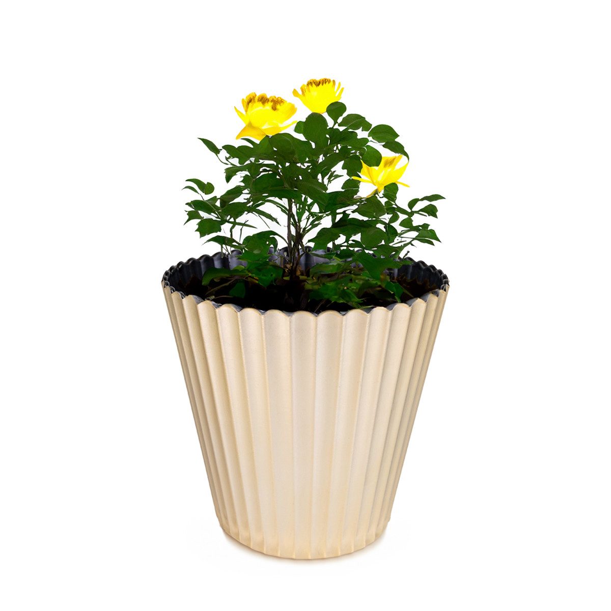 matches21 HOME & HOBBY Blumentopf Blumen-Topf günstig online kaufen