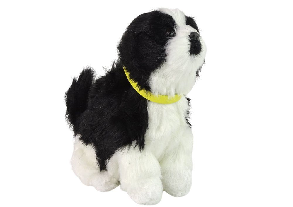 Tier-Intelligenzspielzeug Plüschhund Spielzeug Interaktives Spielzeug Border Collie Hündchen