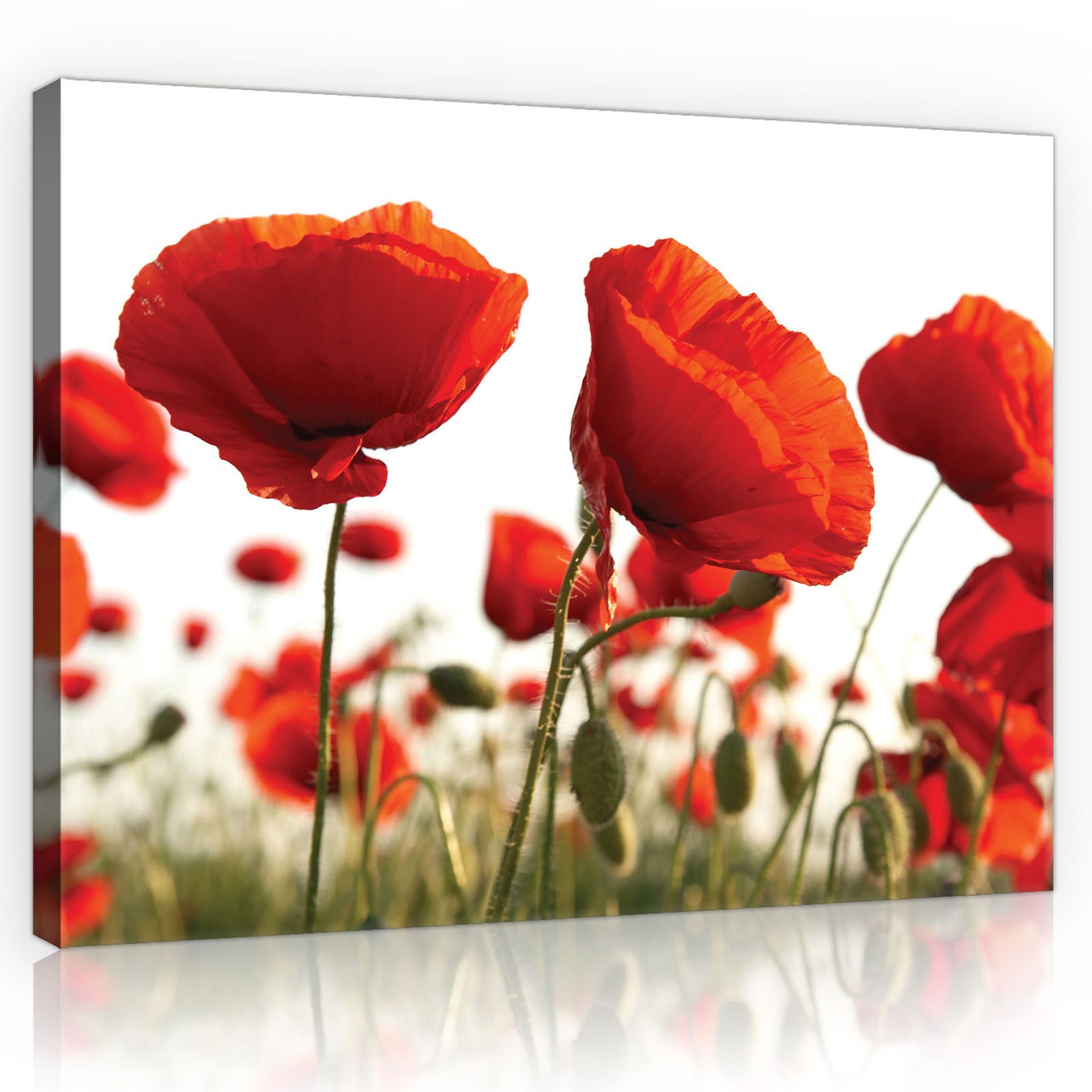 Wallarena Leinwandbild Blumen Schlafzimmer Bilder Wanddekoration günstig online kaufen
