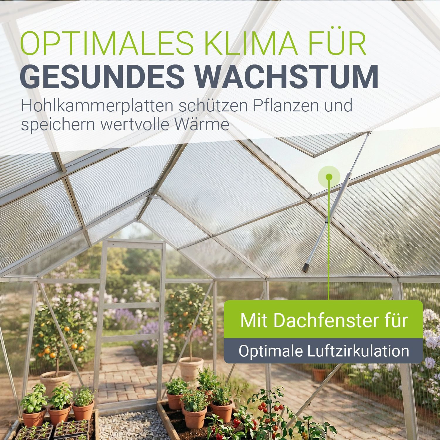 Juskys Gewächshaus, BxTxH: 190 x 190 x 198 cm, Dachfenster, Abschließbar, Regenrinnen und Fundament