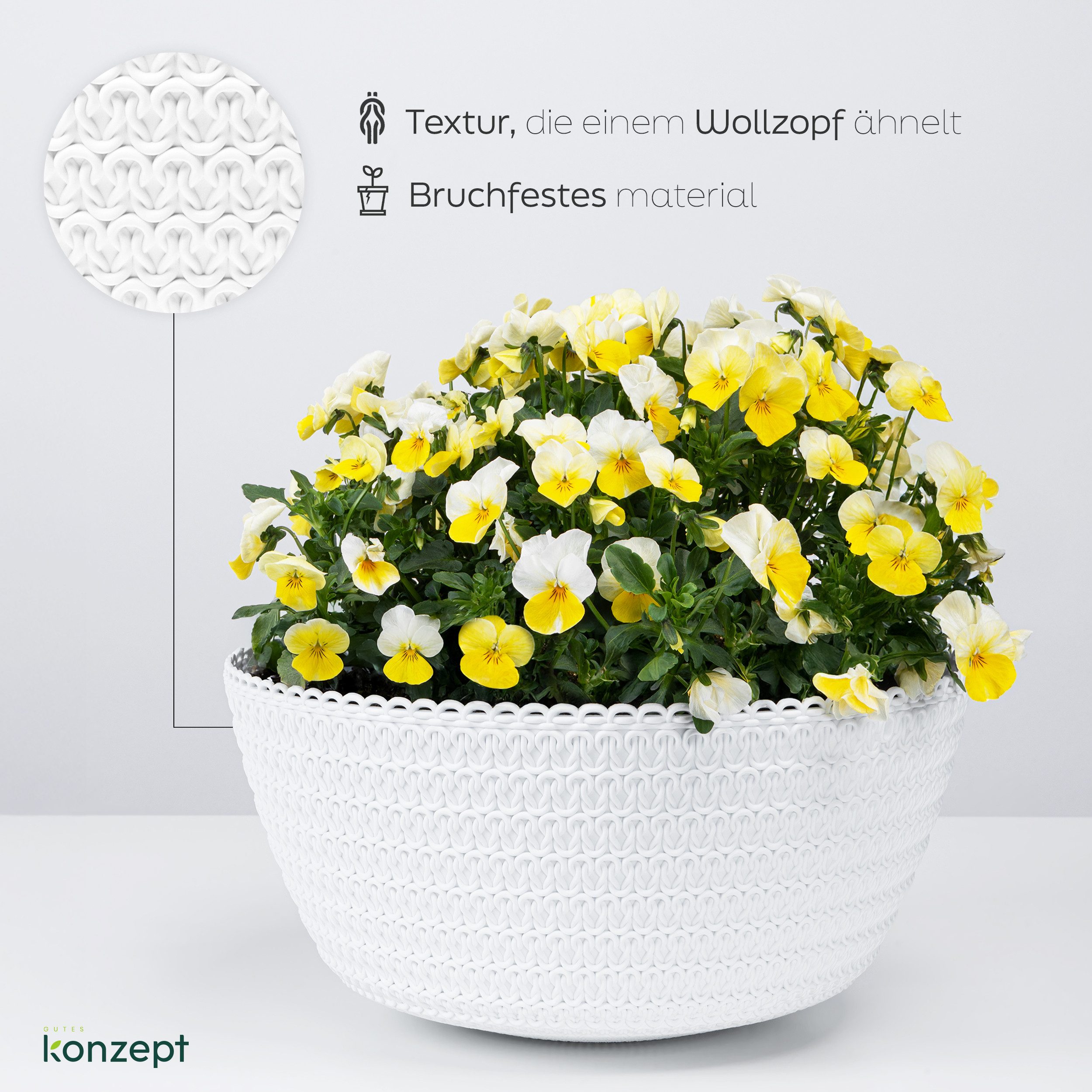 KONZEPT Blumenampel Hängend für Innen und günstig online kaufen