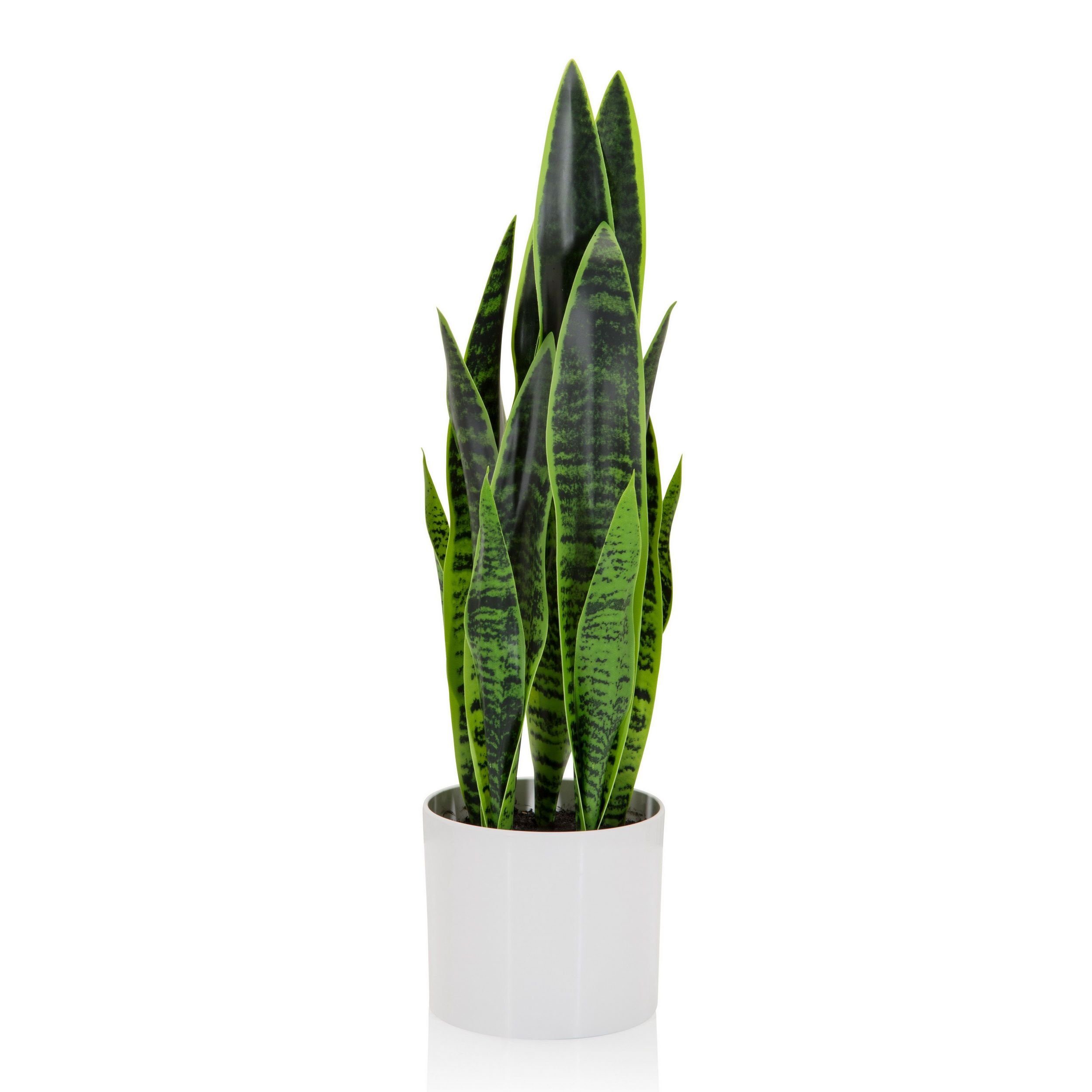 Künstliche Zimmerpflanze Deko Pflanzen, bümö, Höhe 65 cm, Kunstpflanze: Bogenhanf / Sansevieria für innen- und außen