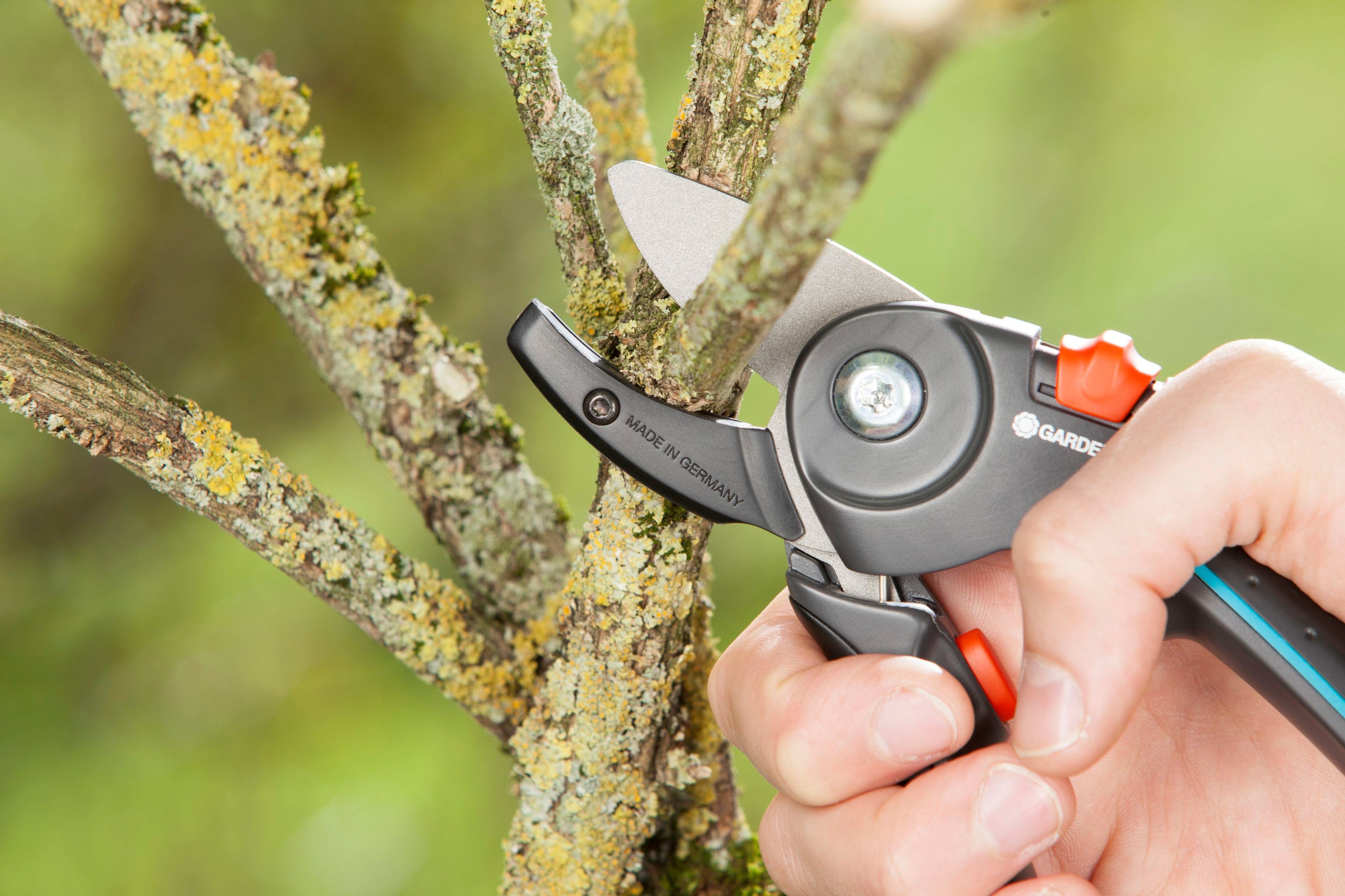 GARDENA Gartenschere »A/M«, Amboss online kaufen OTTO