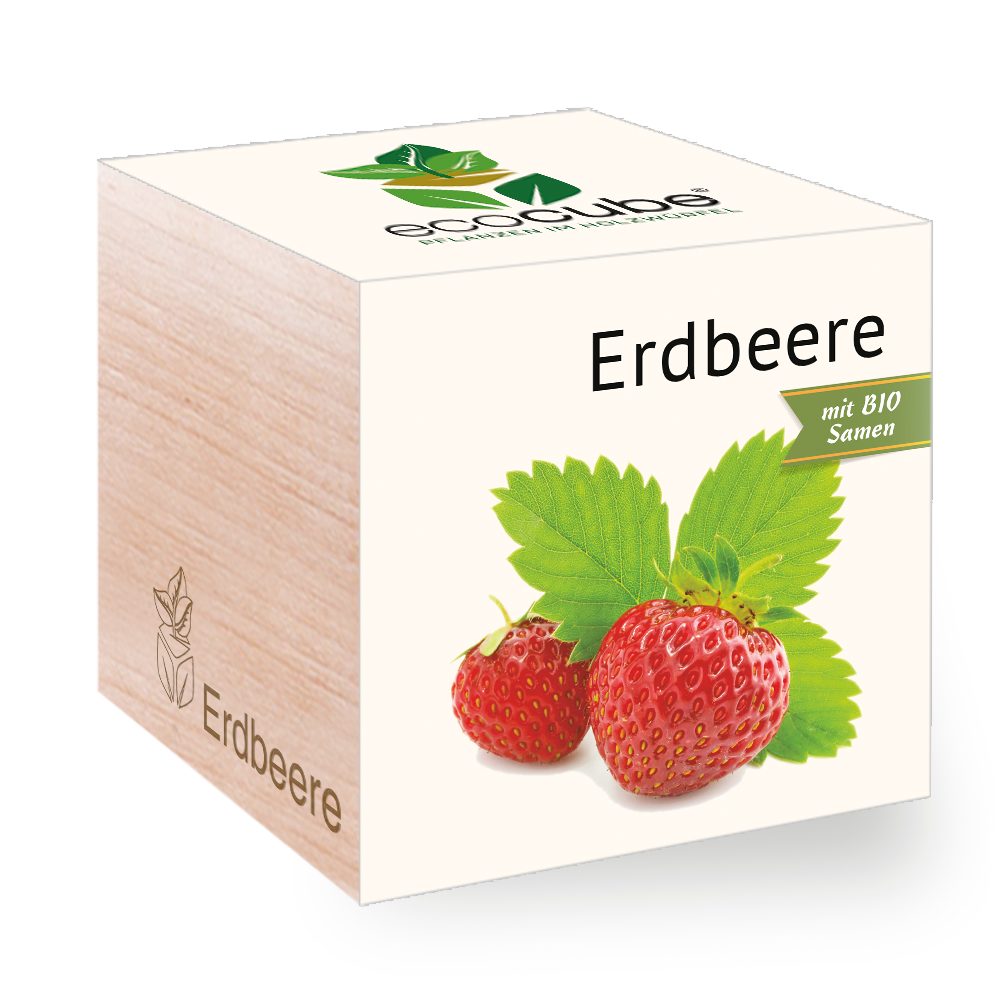 Feel Green Gartenpflege-Set Ecocube Erdbeere von Feel Green, Bio Samen, Nachhaltige Geschenkidee