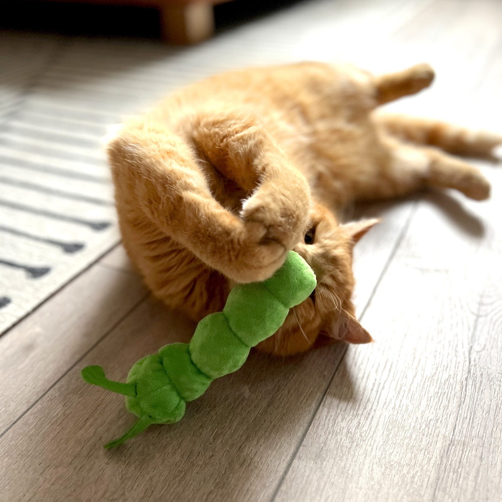 Aumüller Tierkuscheltier Katzenspielzeug Raupe Pedro, Plüschtier zum Schmusen mit Katzenminze