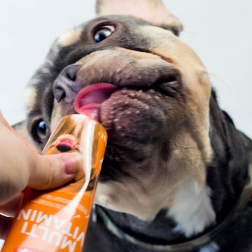 Nobby Hundehandtuch Nobby Multi-Vitamin für Hunde 100 g