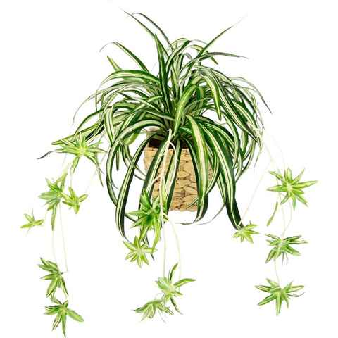Kunstpflanze Wasserlilie Wasserlilie, I.GE.A., Höhe 35 cm, im Übertopf