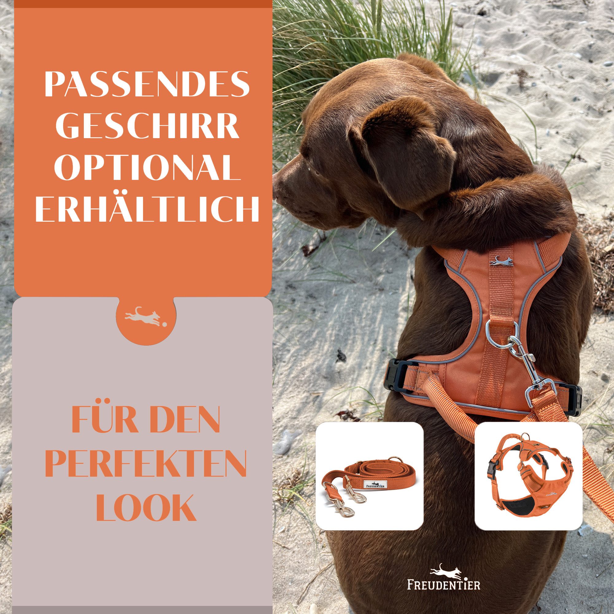 Freudentier Hundeleine 2m, verstellbar & gepolstert, Führleine aus Nylon, für mittelgroße & große Hunde