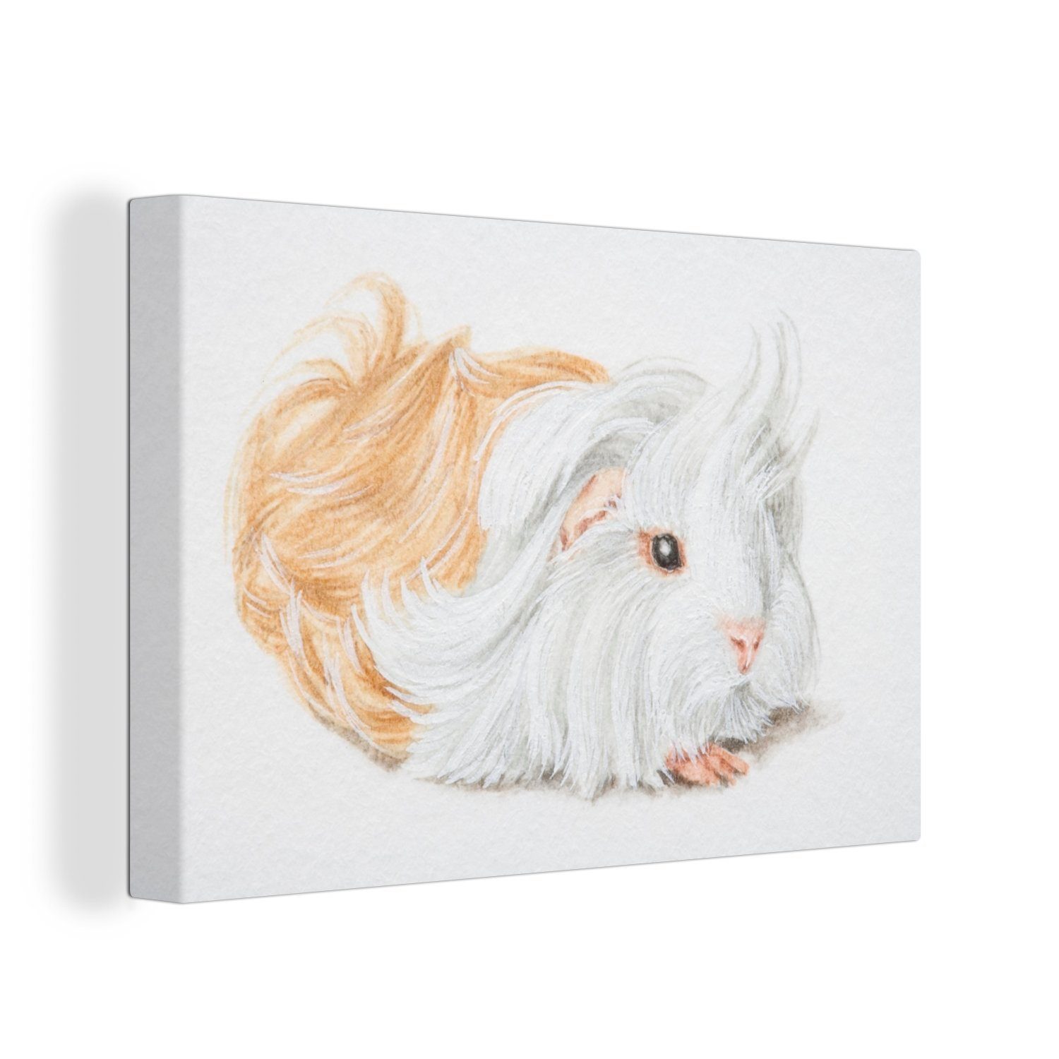 OneMillionCanvasses® Leinwandbild Eine Illustration eines langhaarigen Meerschweinchens, (1 St), Wandbild Leinwandbilder, Aufhängefertig, Wanddeko, 30x20 cm
