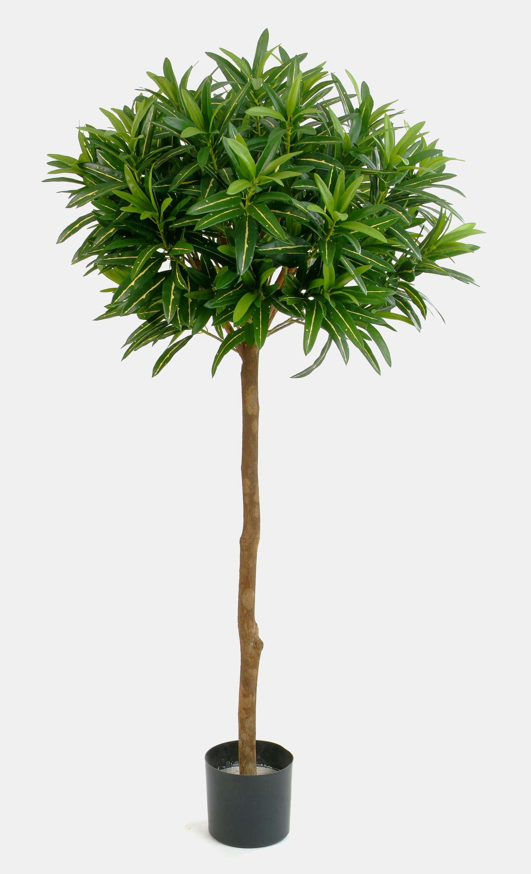Kunstbaum Künstlicher Goldfinger Hochstamm, 1010 Blätter, grün, 150cm Longifolia, artplants, Höhe 150.0 cm