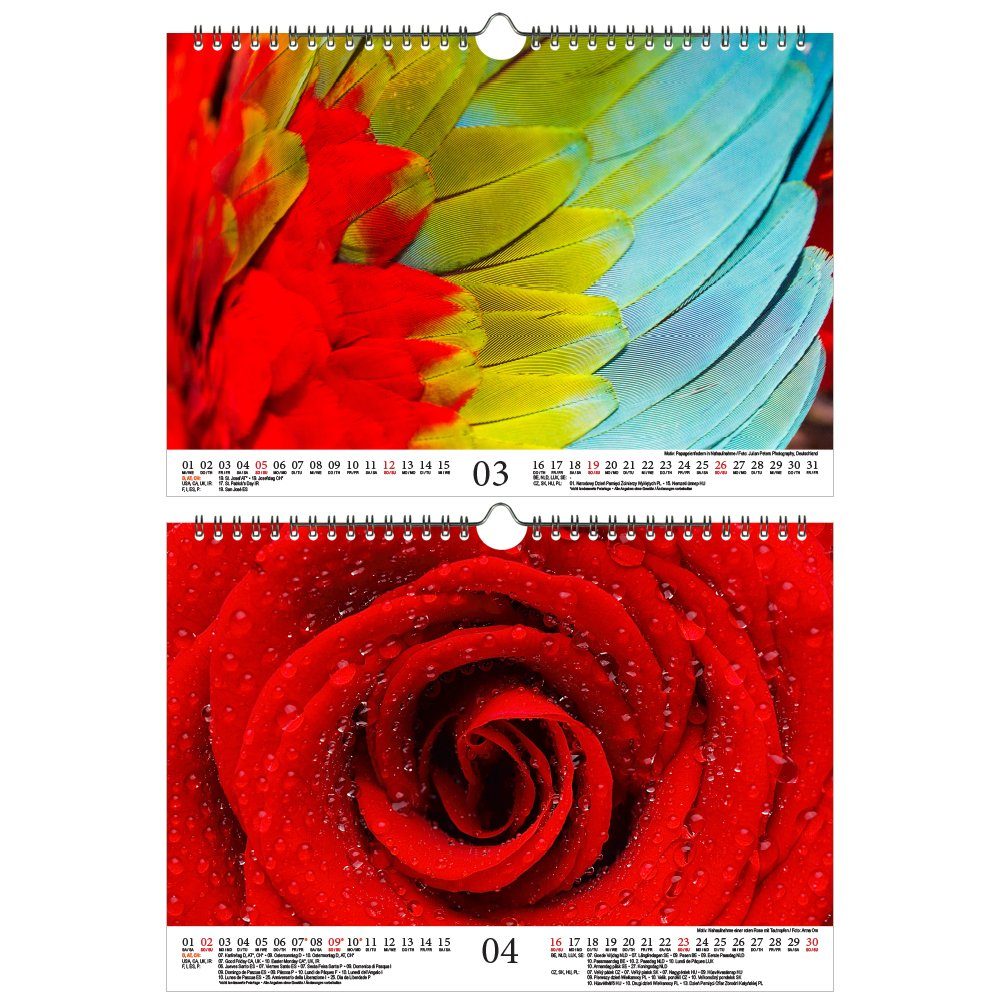 Seelenzauber Wandkalender Farbenzauber Natur DIN A4 Kalender für 2023 Farben  Colours - Seelenzau