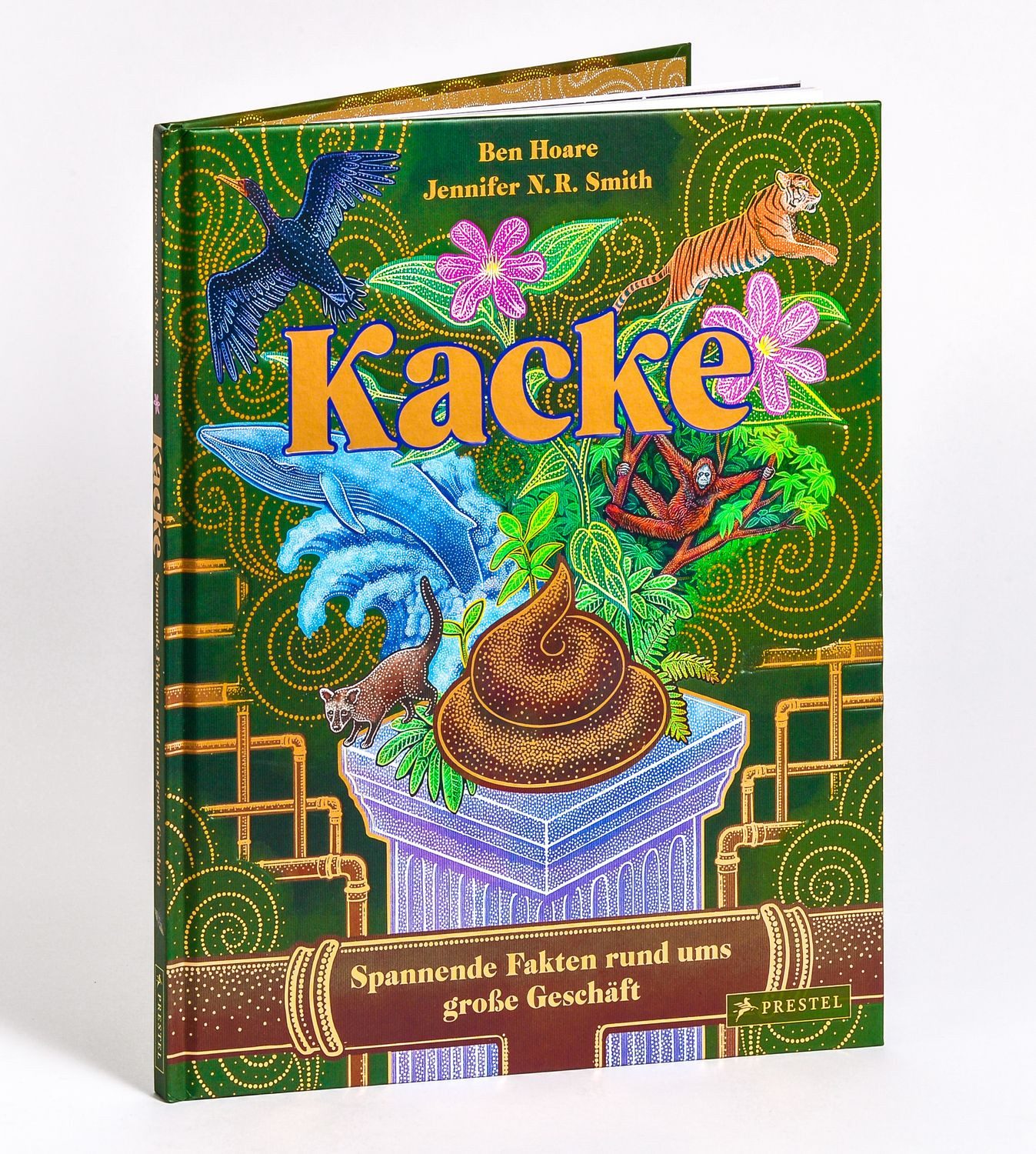 Kinderbuch Kacke Ein Sachbilderbuch für Kinder ab 8 Jahren Ben Hoare, Jennifer N.R. Smith