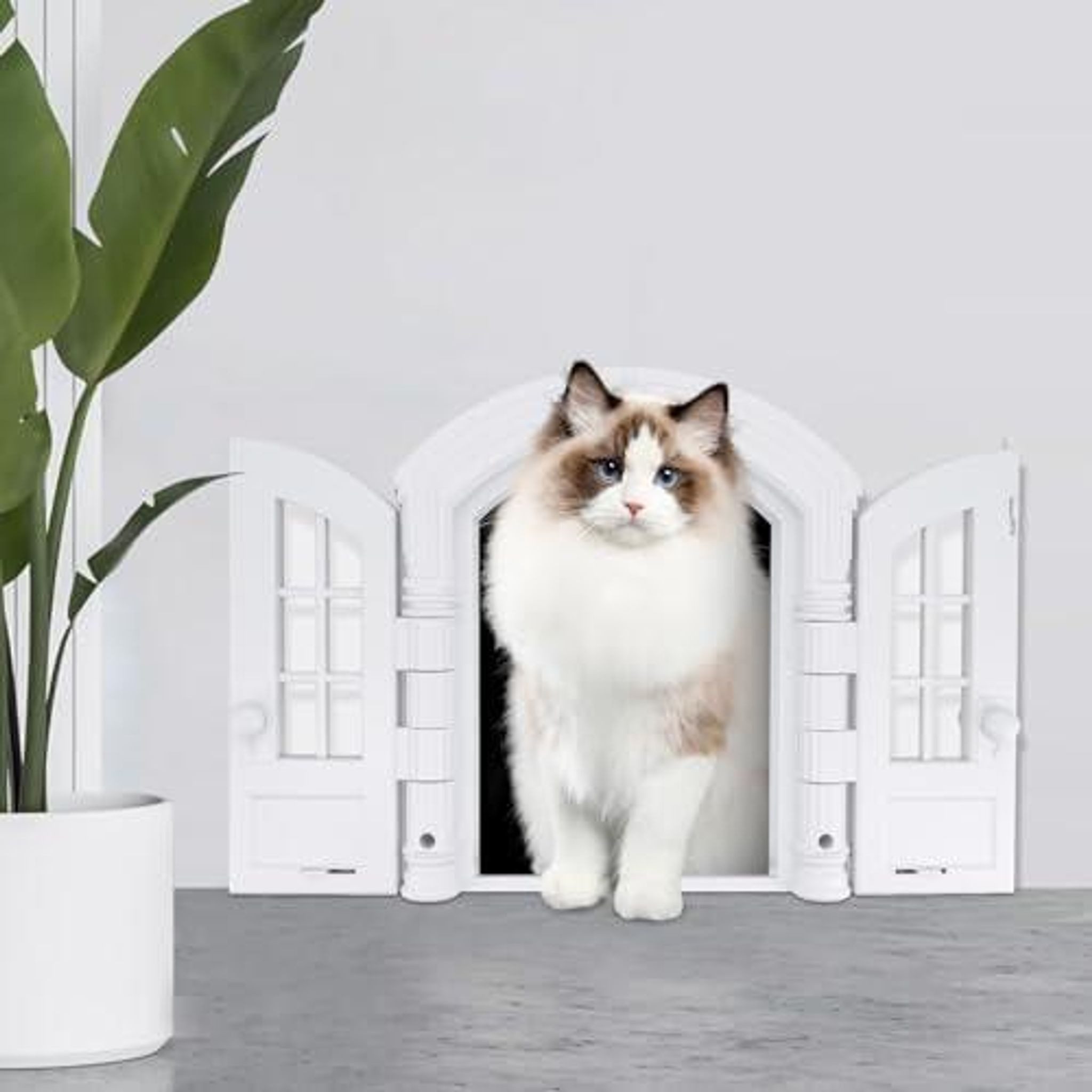 FELIXLEO Katzenklappe Katzenklappe Innentür Außentür 23,5x17cm Einfache Montage Für Jede Tür