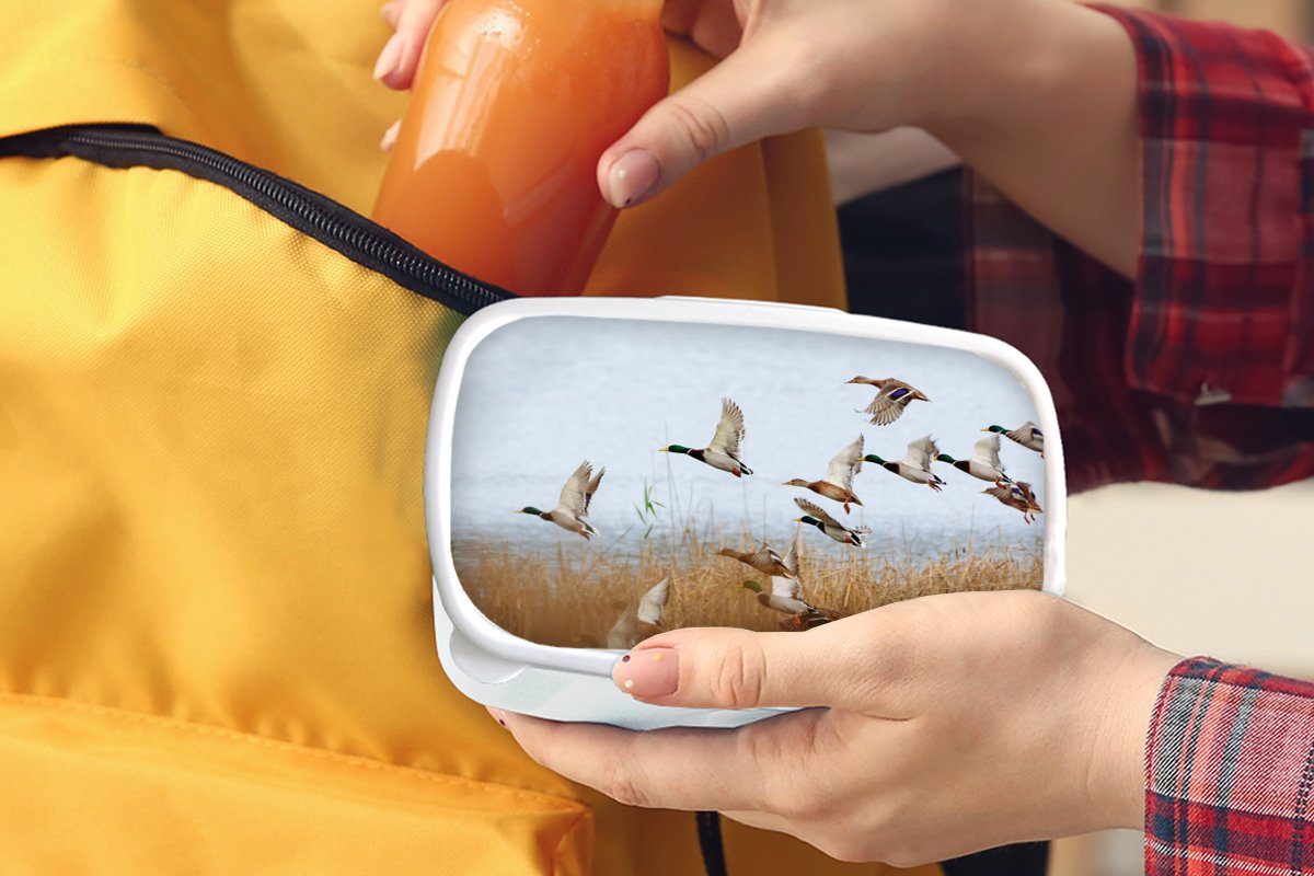 MuchoWow Lunchbox Ente - Vogel Kunststoff, Schilf weiß - Jungs und - für Enten, Erwachsene, (2-tlg), Kinder und Mädchen Brotdose, Wasser - für Brotbox