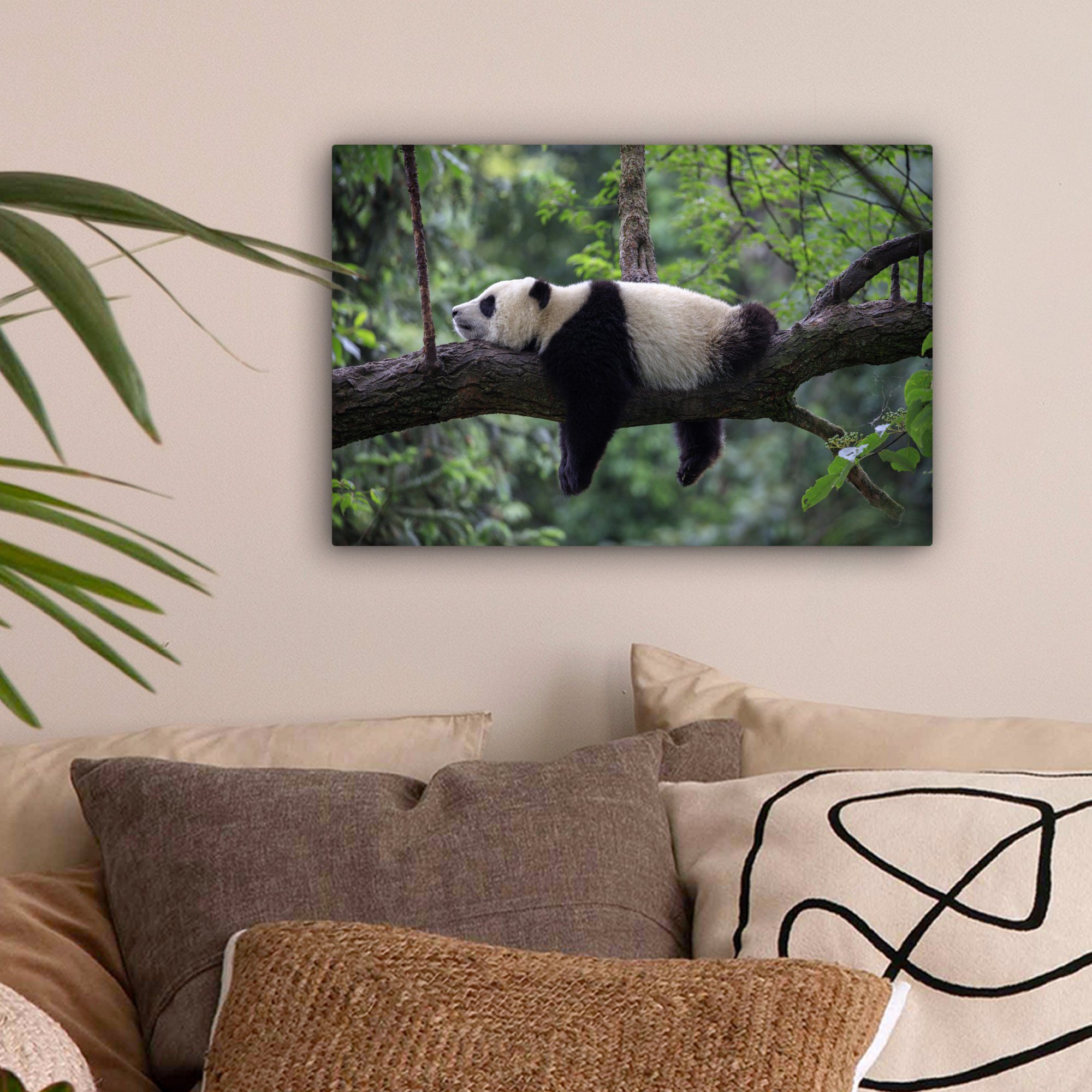 OneMillionCanvasses® Leinwandbild Panda - Baum - Tiere - Natur, Fotodruck ( günstig online kaufen