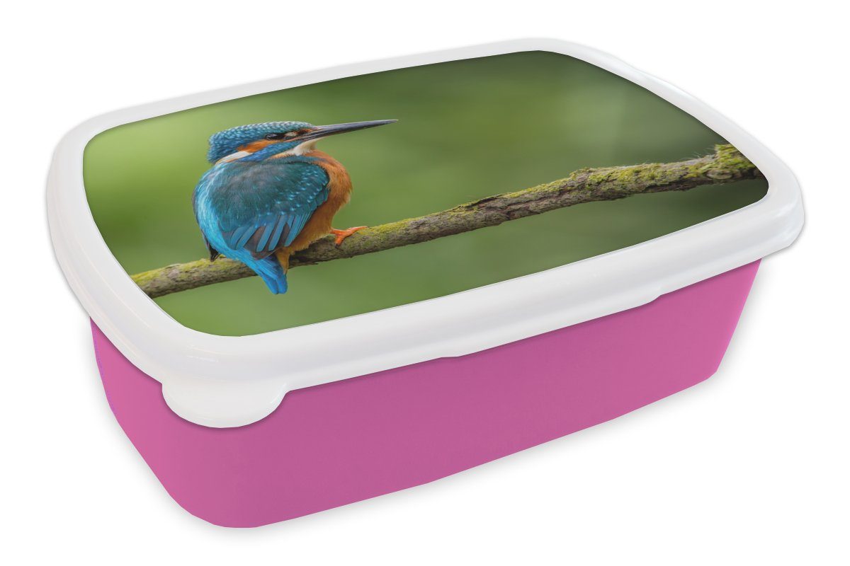 Mädchen, - Vogel Eisvogel Lunchbox Kunststoff Brotdose Moos MuchoWow Snackbox, Grün, Erwachsene, - für - Kinder, Brotbox Zweig rosa - Kunststoff, (2-tlg),