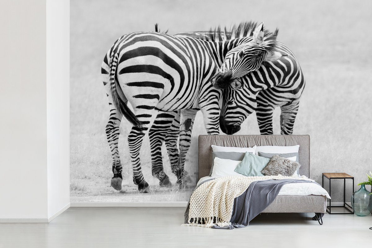 - Zebra St), Tapete Vinyl - Wallpaper MuchoWow Fototapete bedruckt, Schlafzimmer, Wohnzimmer, - Tiere Safari, Matt, Natur (6 Kinderzimmer, für