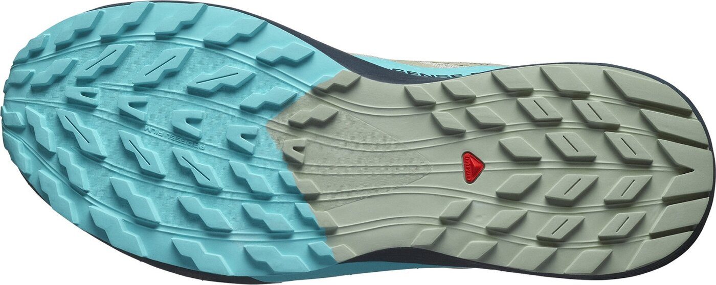Salomon SHOES SENSE RIDE 5 Alfalfa/Carbon/P günstig online kaufen