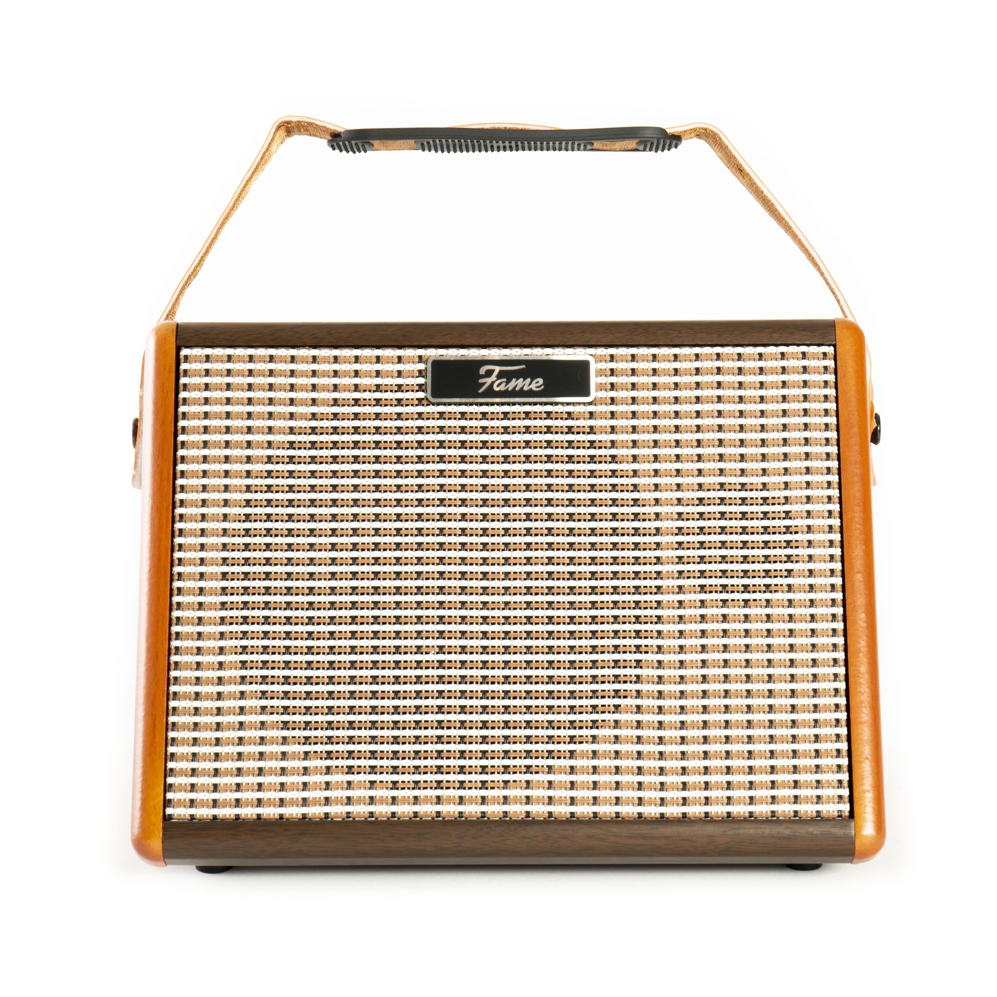 FAME Verstärker (Akustikgitarrenverstärker, integrierter Akku, Bluetooth)
