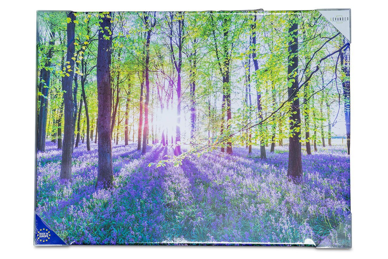 Levandeo® Leinwandbild, Leinwandbild 80x60cm Wald Natur günstig online kaufen