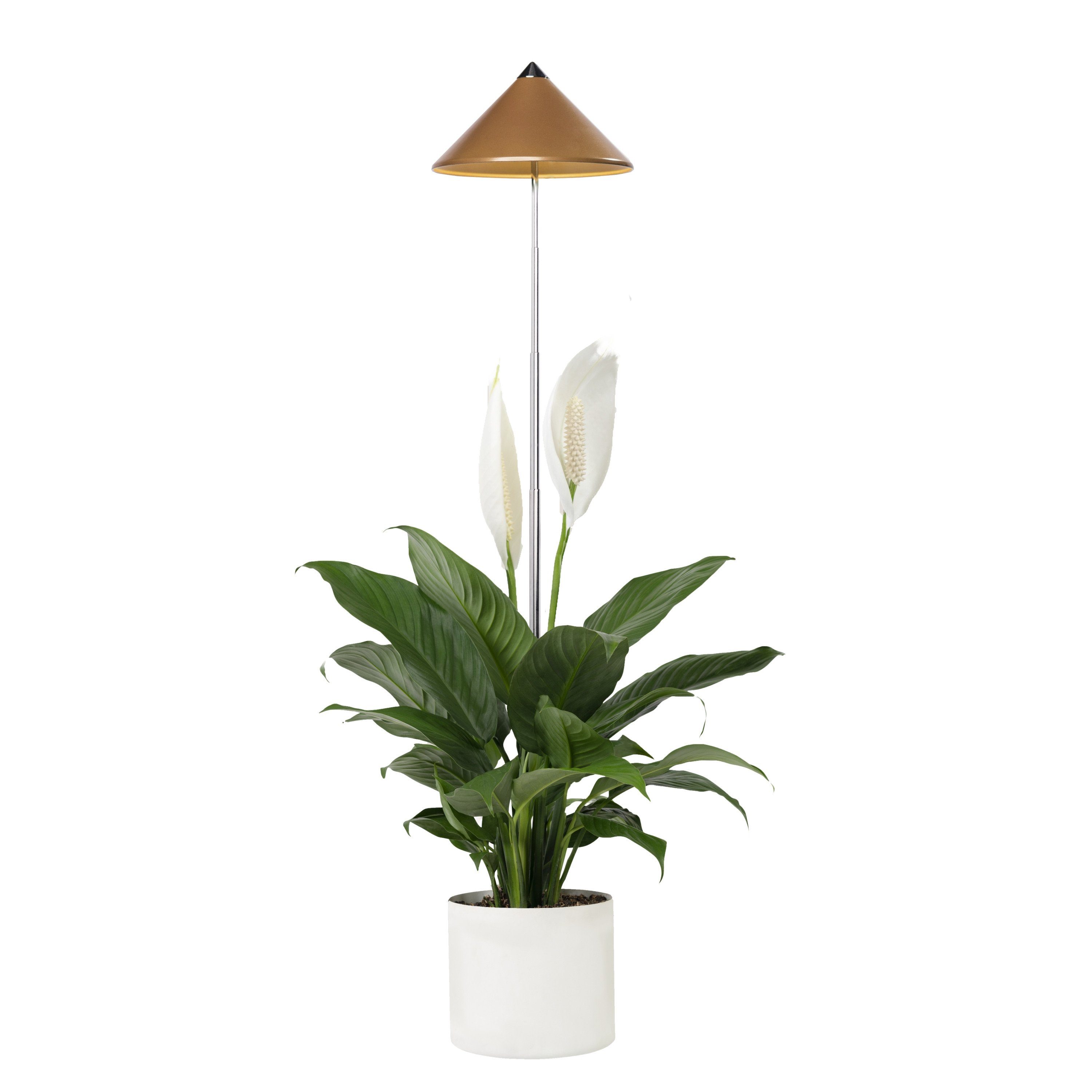PARUS Pflanzenlampe Indoor plants, Leuchtmittel für Pflanzen, Teleskopstab 1m, Parus by Venso SUNLiTE 7W LED Vollspektrum Pflanzenlampe Kupfer, Indoo