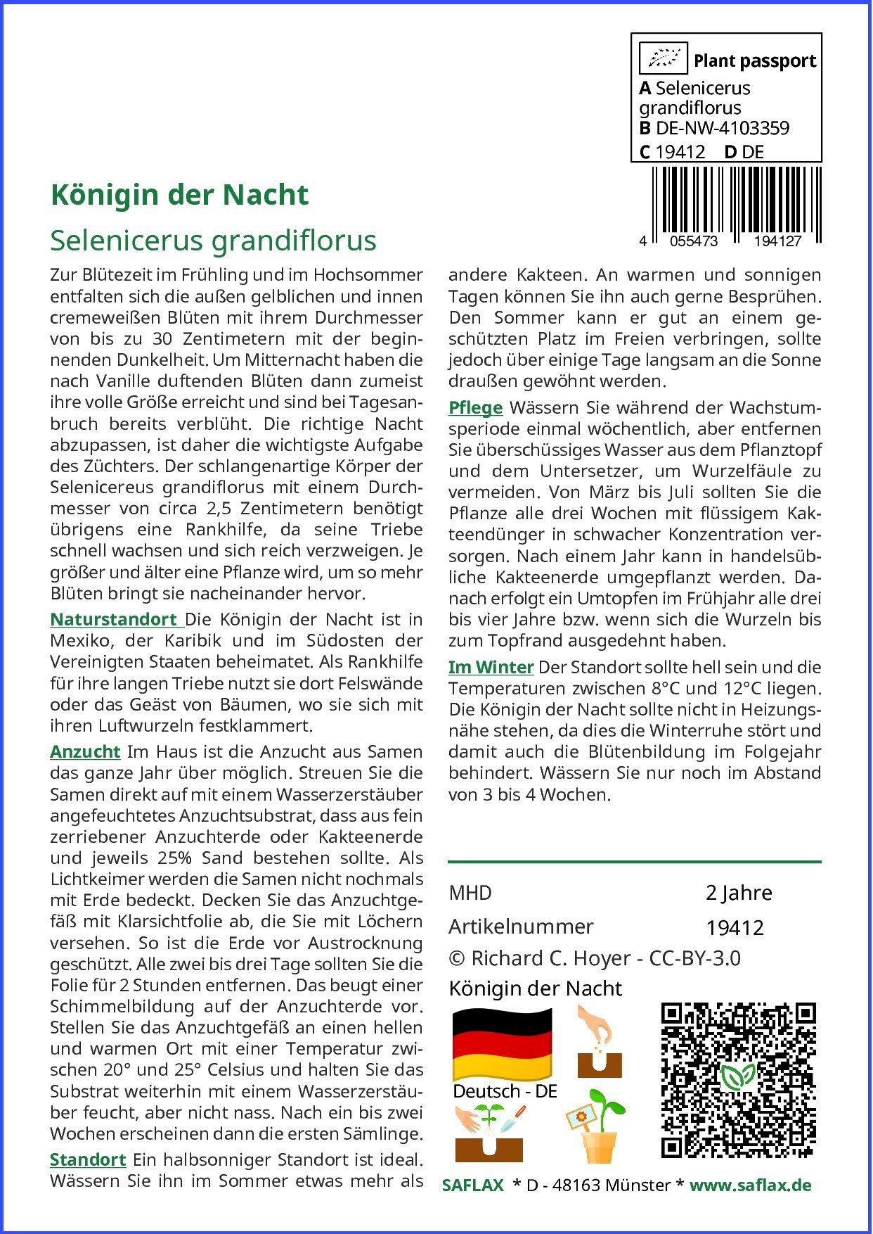 SAFLAX Blumensamen SAFLAX - Samen - günstig online kaufen