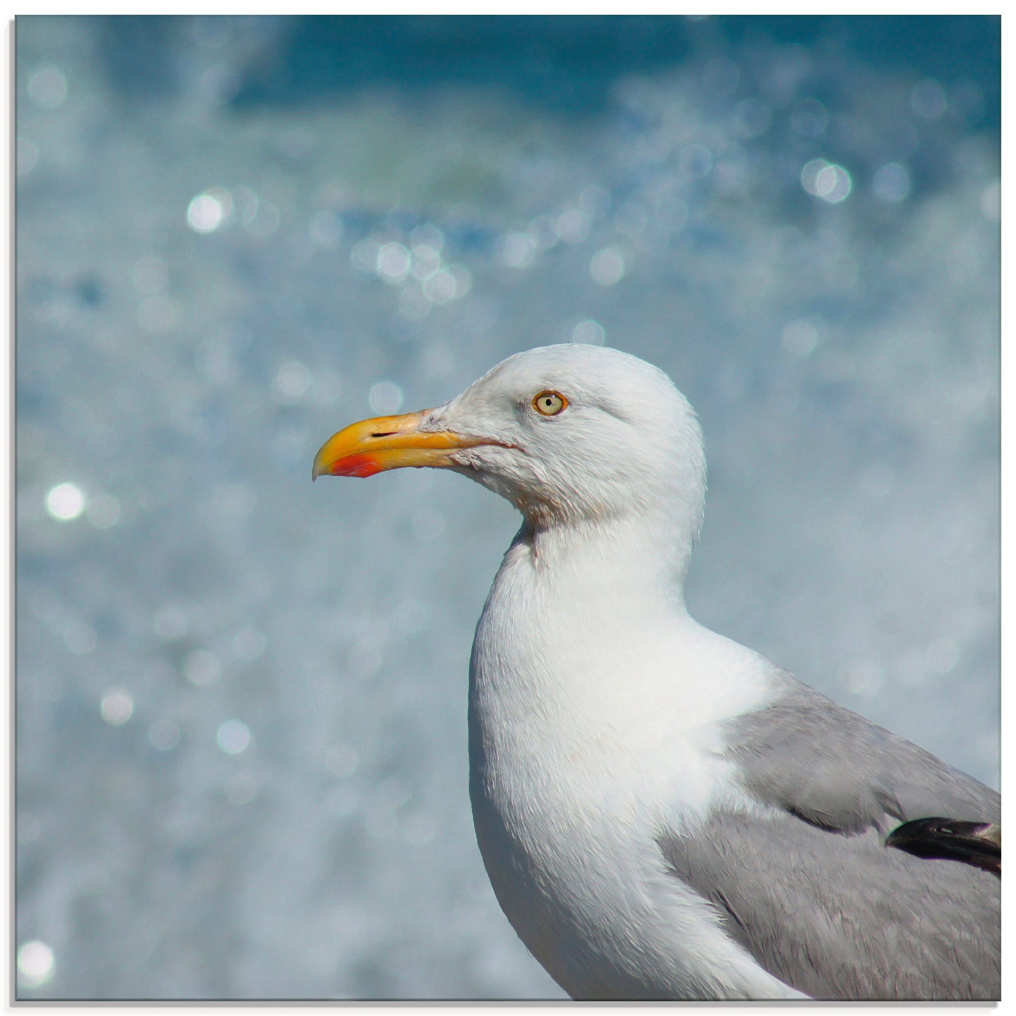 der Artland Glasbild Möwe Vögel St), Nordseeküste, an verschiedenen (1 Größen in