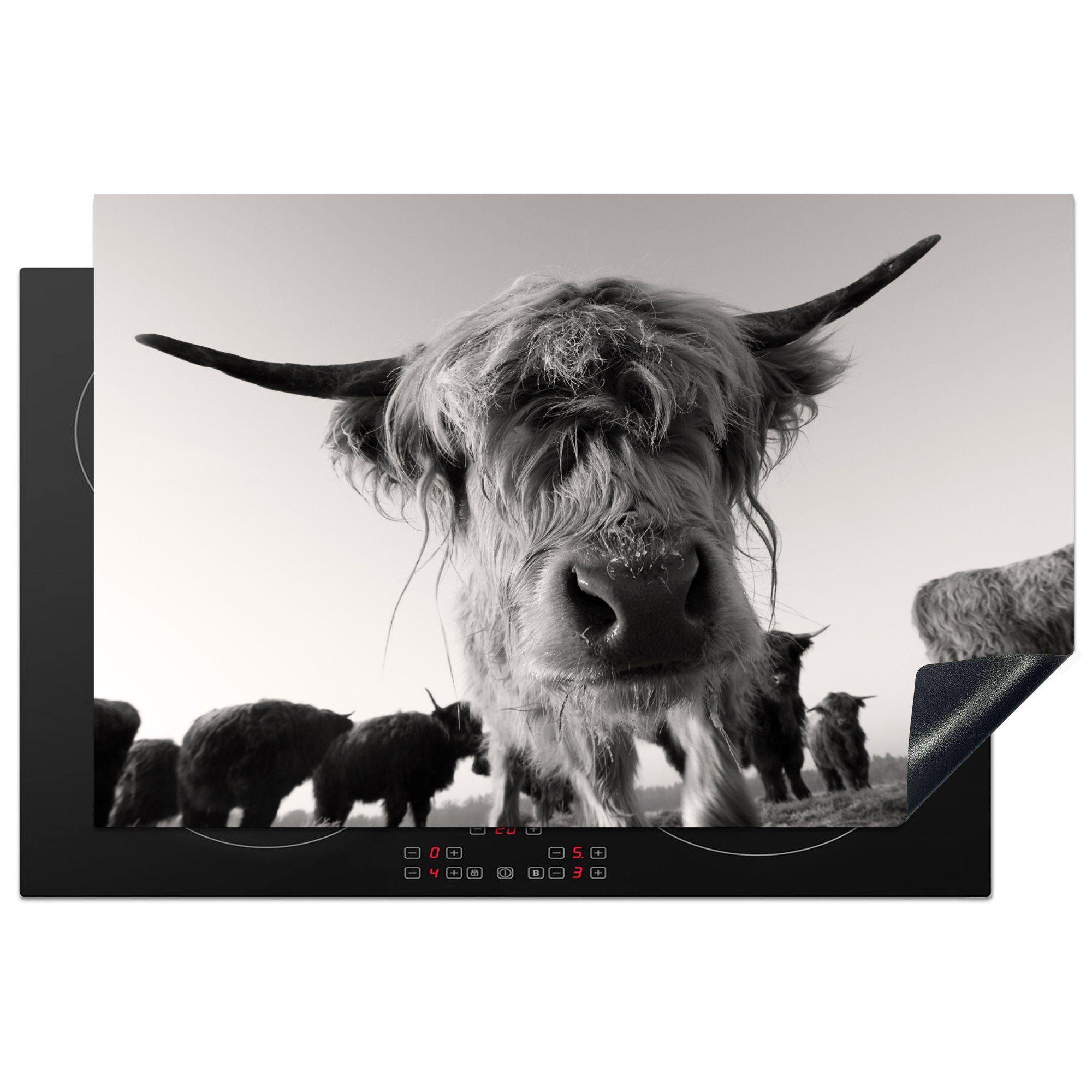 MuchoWow Herdblende-/Abdeckplatte Schottischer Highlander - Schwarz - Weiß - Tiere, Vinyl, (1 tlg), 81x52 cm, Induktionskochfeld Schutz für die küche, Ceranfeldabdeckung