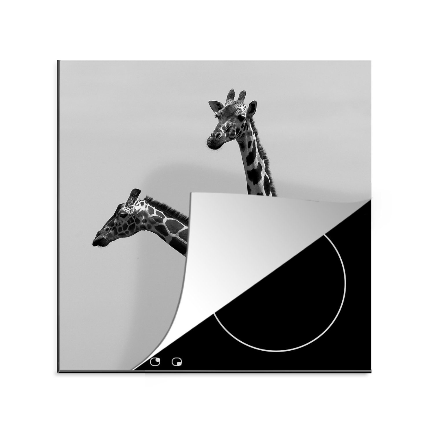 Herdblende-/Abdeckplatte Weiß, Vinyl, für Schwarz Ceranfeldabdeckung, Giraffen küche in (1 Zwei Arbeitsplatte tlg), 78x78 und cm, MuchoWow