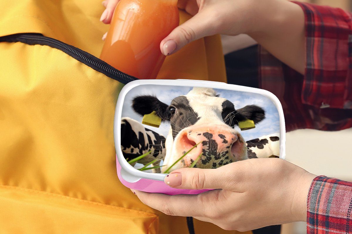 Kunststoff Kunststoff, Gras Snackbox, - für Tiere, Mädchen, Bauernhof rosa MuchoWow Erwachsene, - (2-tlg), Brotdose - Lunchbox Kuh Kinder, Brotbox