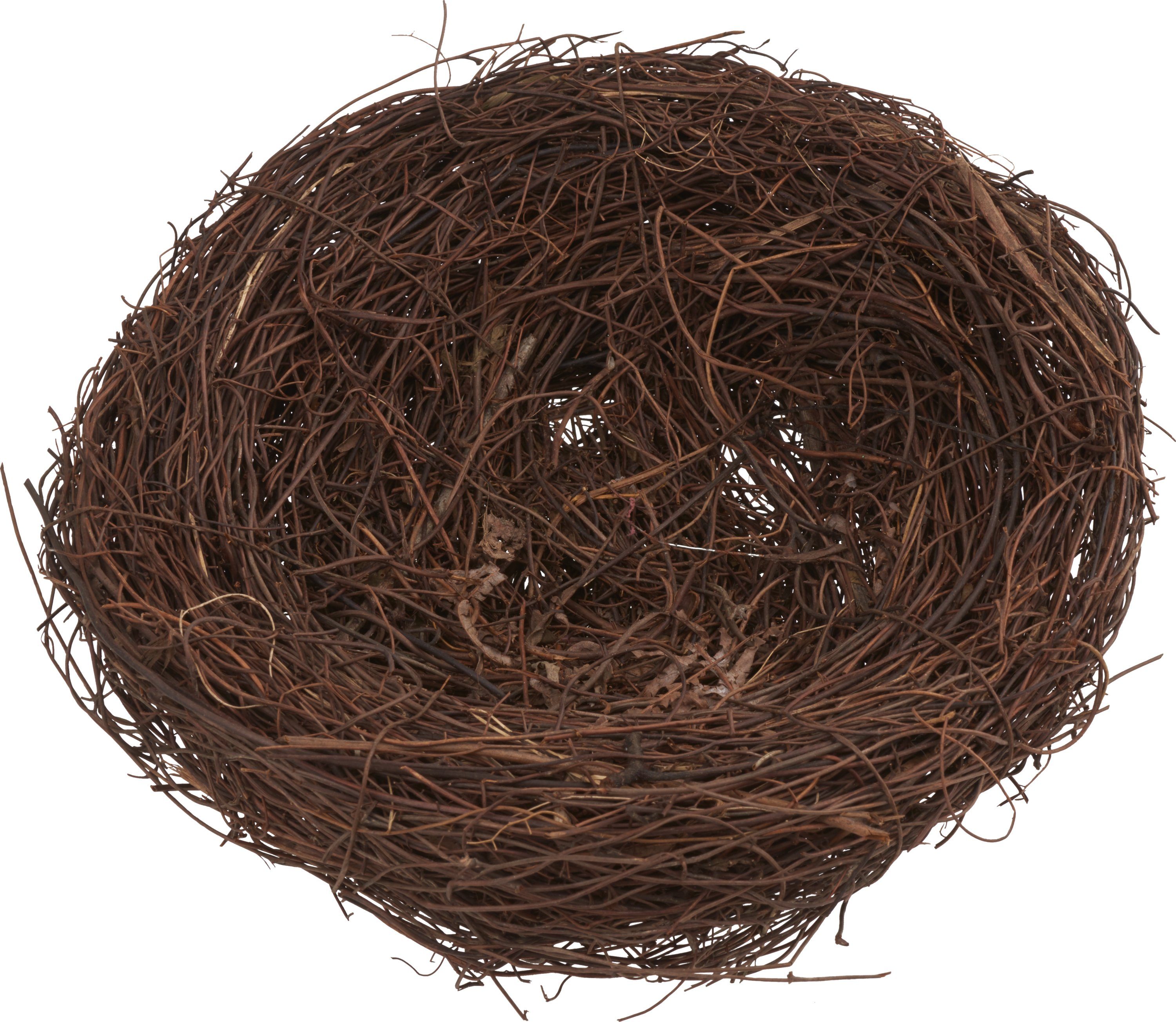 VBS Bastelnaturmaterial Nest Reisig, 20 cm