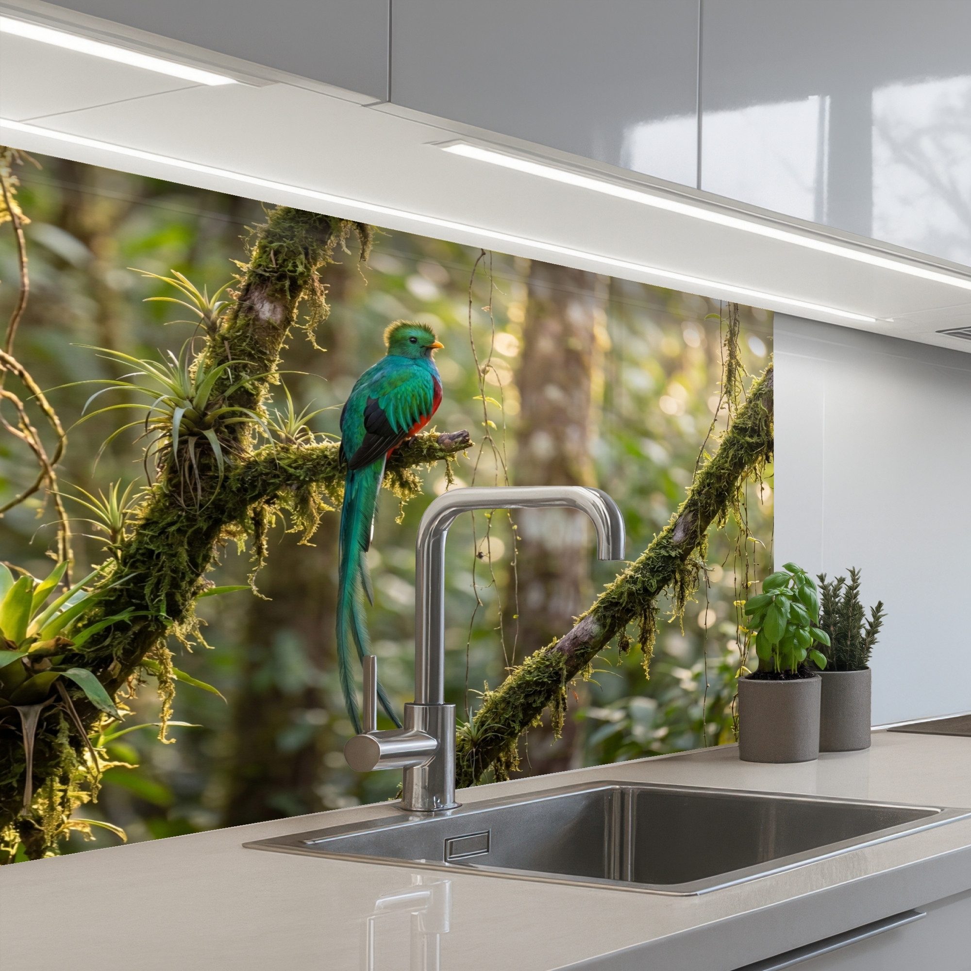 KitchenYeah Küchenrückwand selbstklebend (keine Folie) Quetzal - Dschungel - Natur - Grün, (1-tlg), Spritzschutz, Küche, Rückwand, Küchenwand, Küchenfront, 80x60 cm