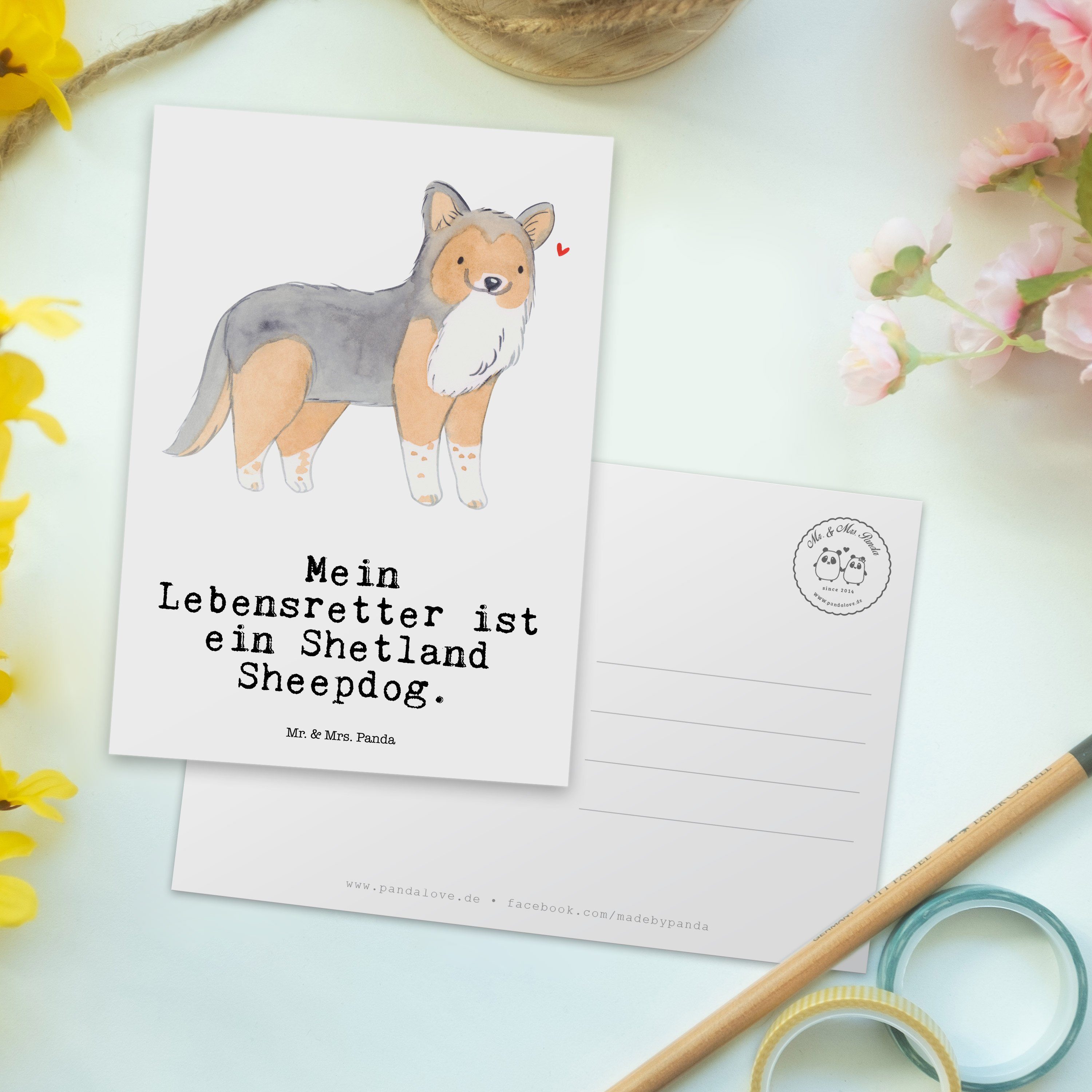 Weiß Geschenk, Sheepdog Mrs. - & Shetland Panda Lebensretter H Postkarte Karte, - Mr. Rassehund,